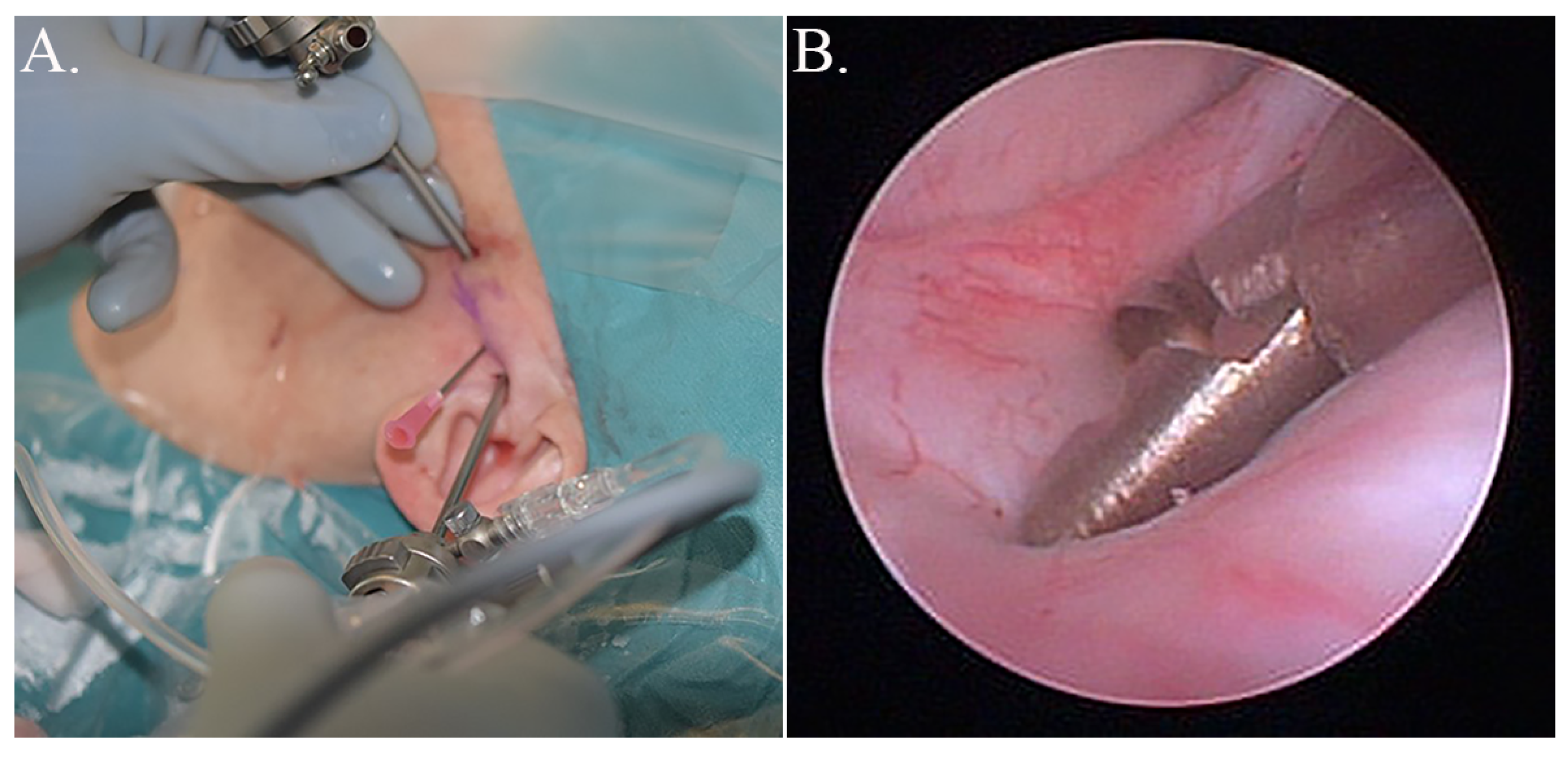Diagnostics 11 00046 g001 Diagnostics 11 00046 g001