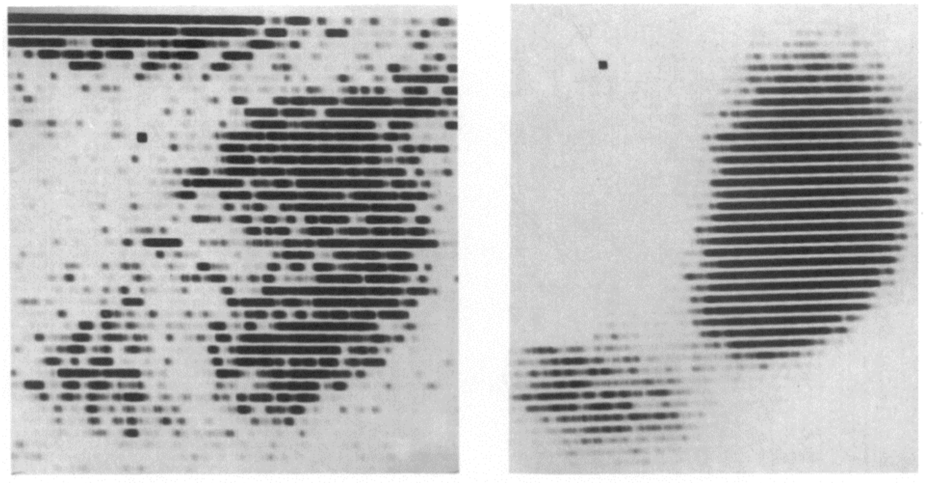 Diagnostics 11 00047 g002 Diagnostics 11 00047 g002