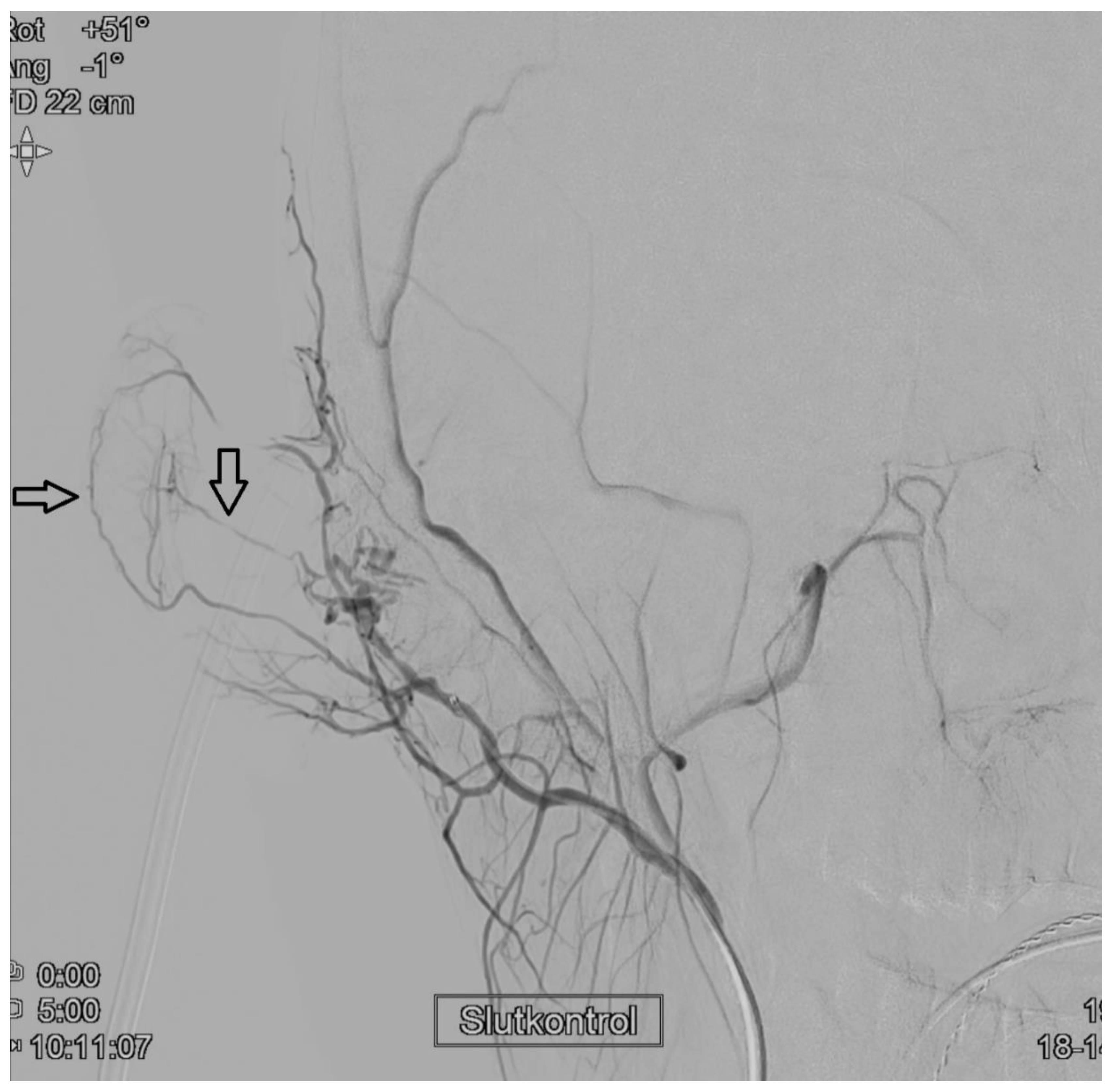 Diagnostics 11 00062 g004 Diagnostics 11 00062 g004