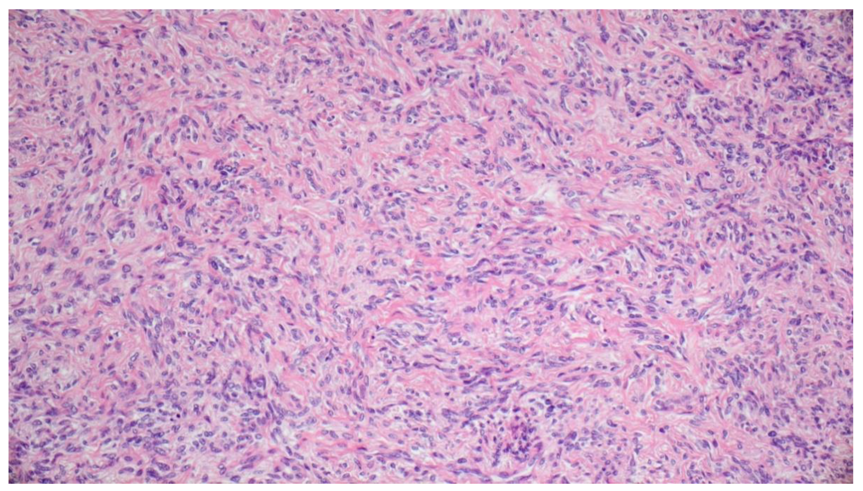 Diagnostics 11 00062 g005 Diagnostics 11 00062 g005