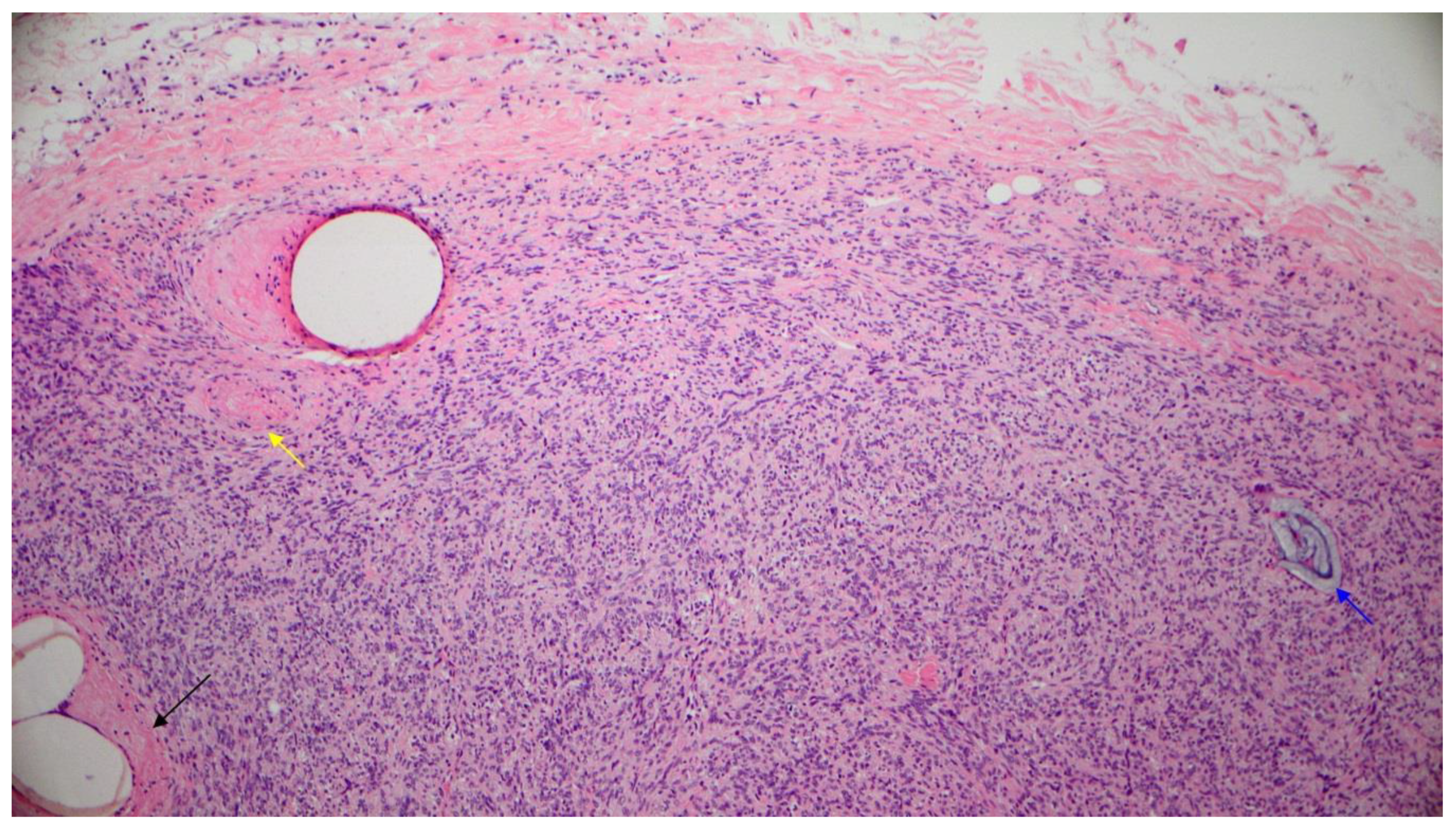 Diagnostics 11 00062 g006 Diagnostics 11 00062 g006