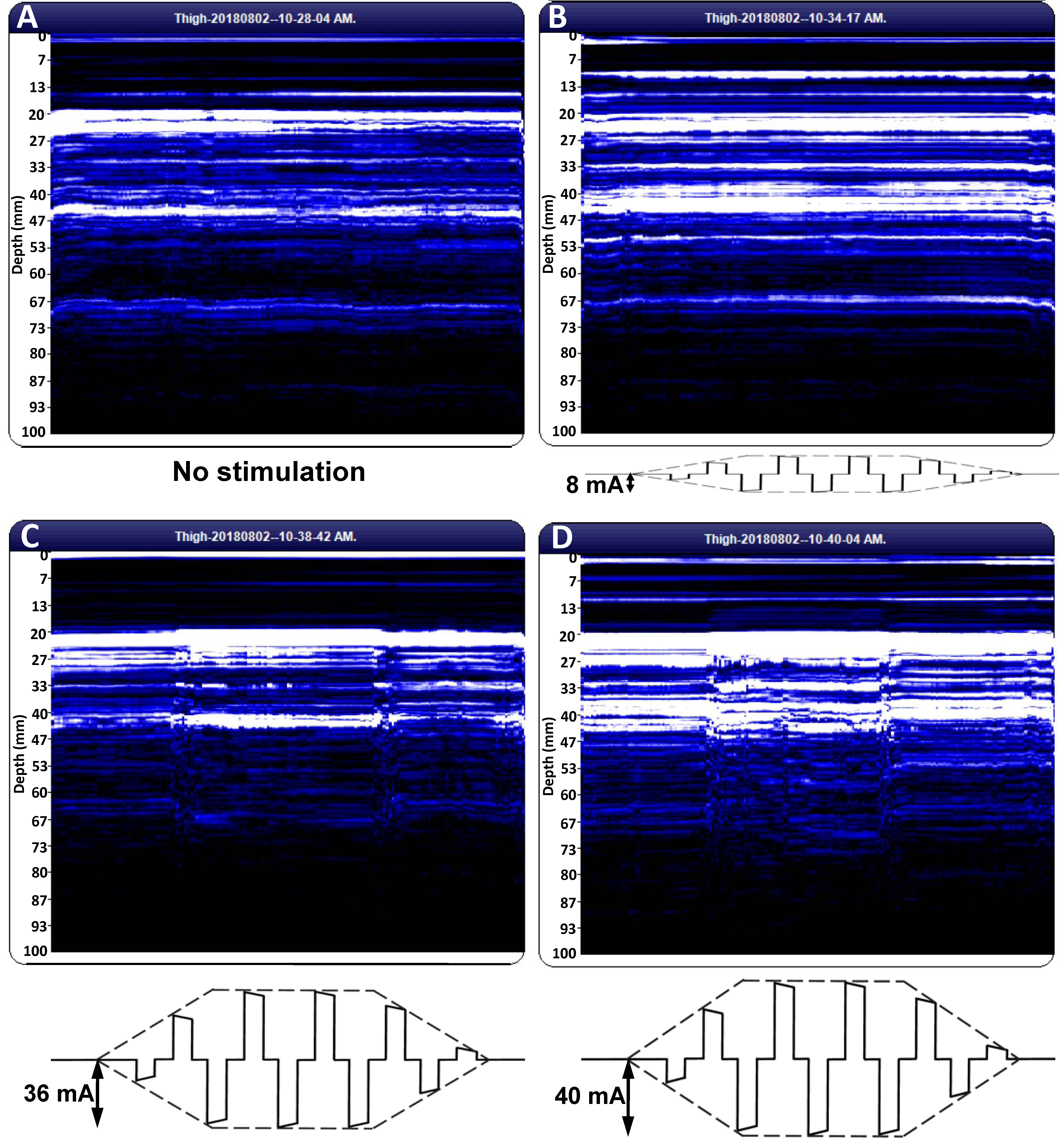 Diagnostics 11 00065 g001