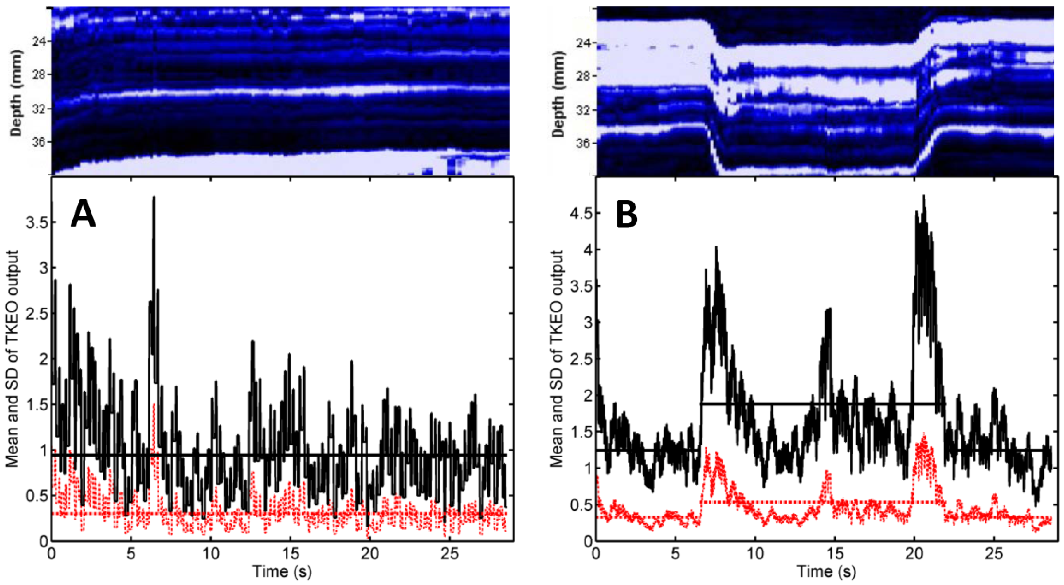 Diagnostics 11 00065 g003