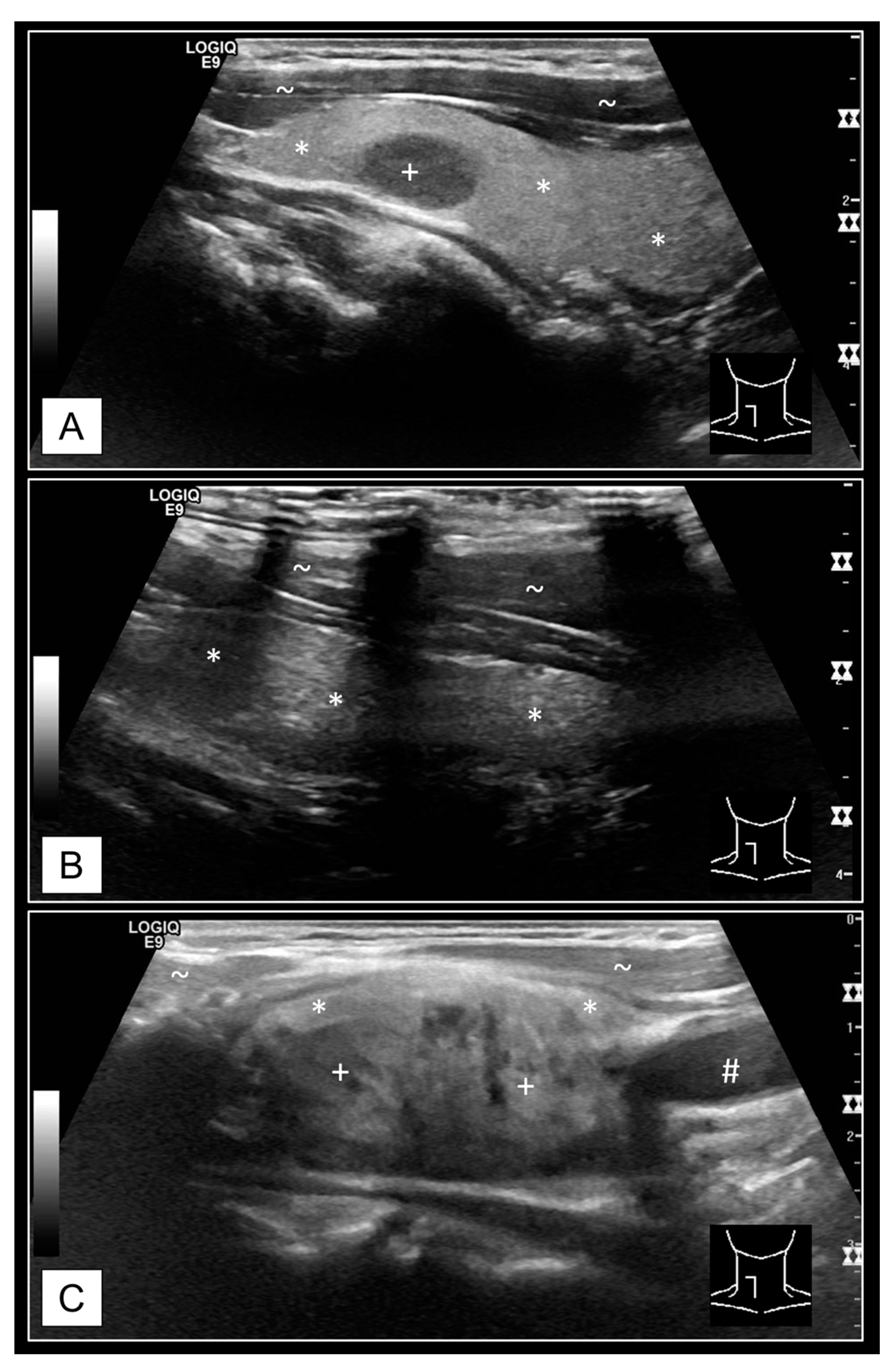 Diagnostics 11 00067 g005 Diagnostics 11 00067 g005