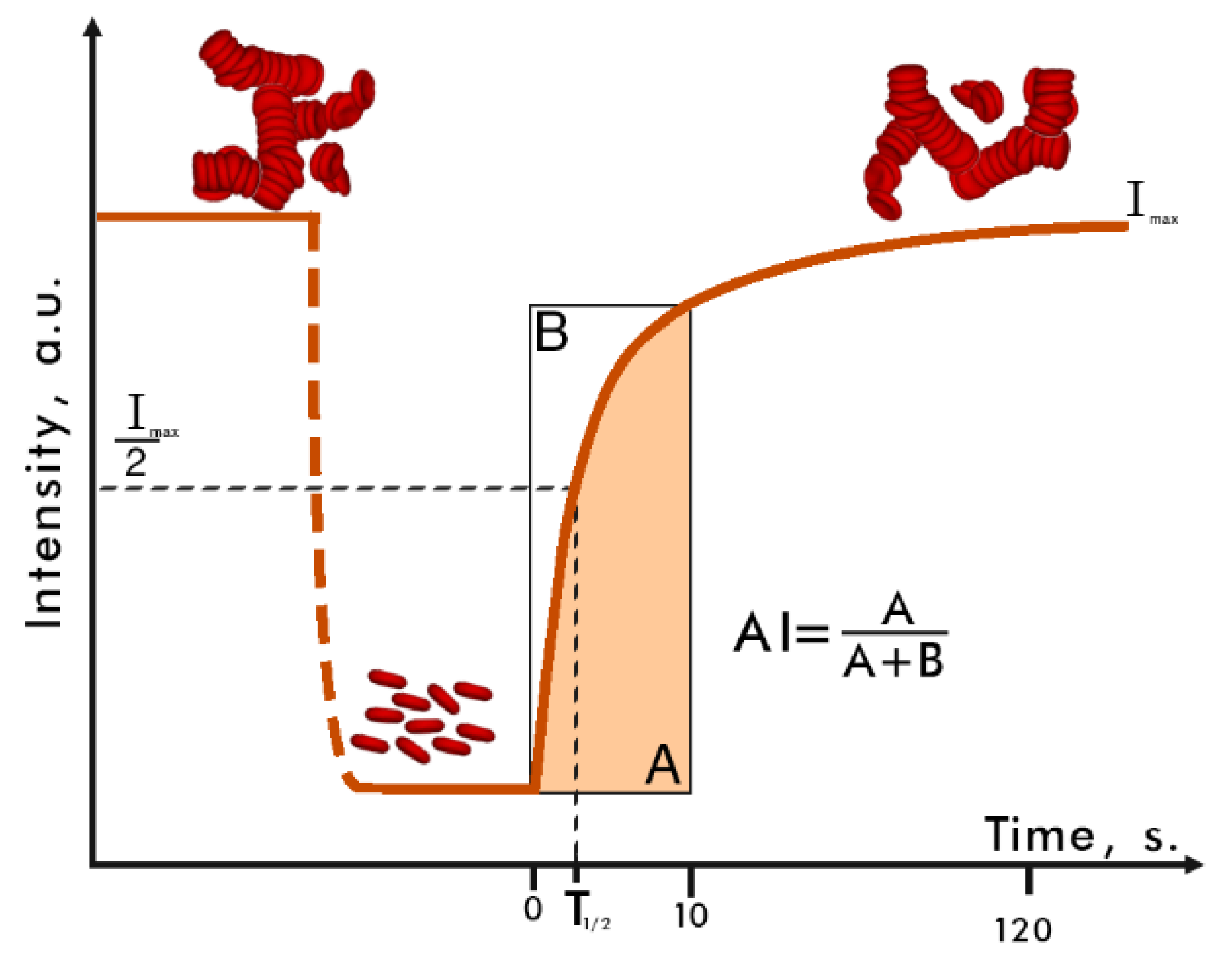 Diagnostics 11 00076 g001 Diagnostics 11 00076 g001