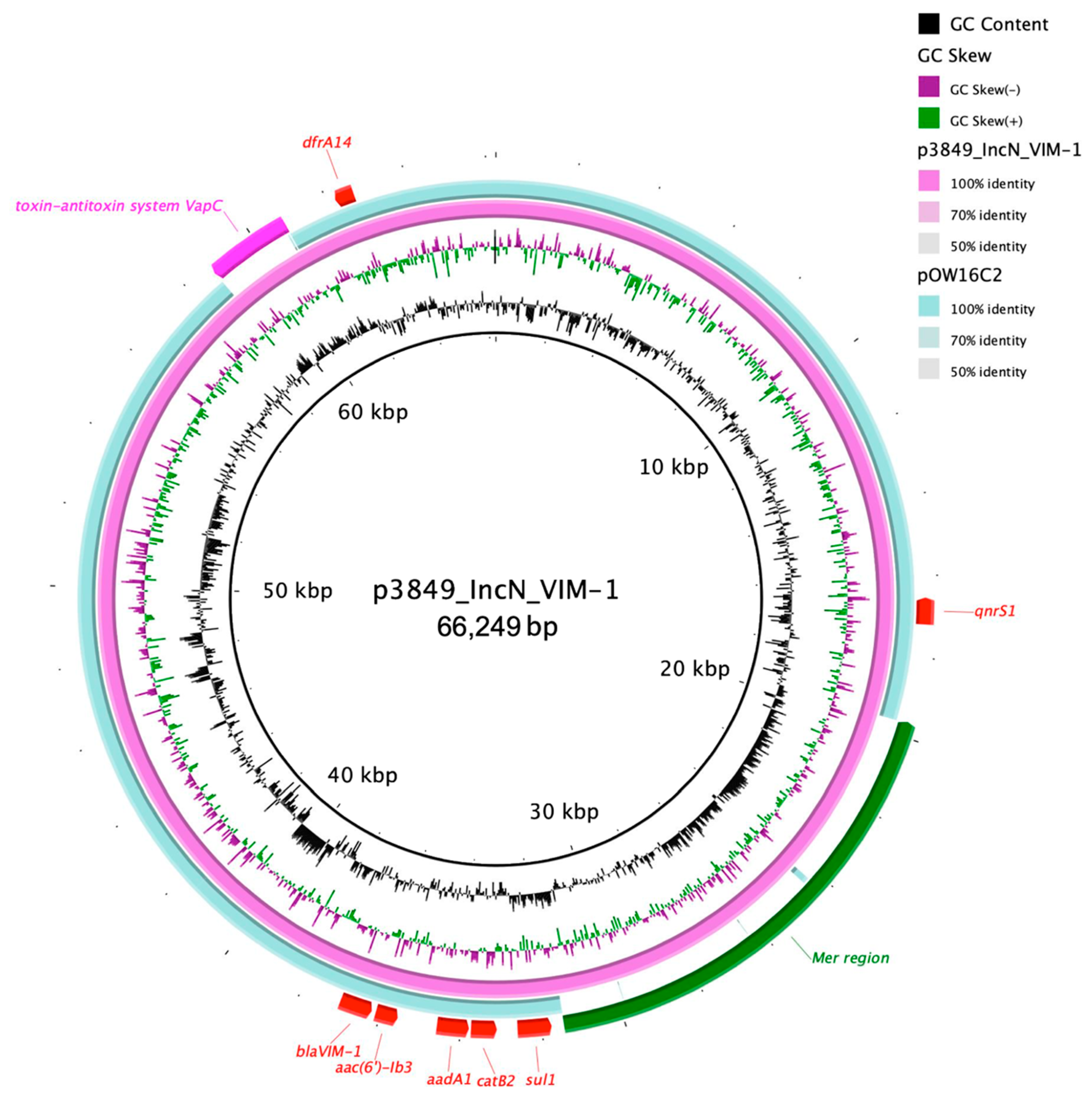 Diagnostics 11 00079 g001 Diagnostics 11 00079 g001