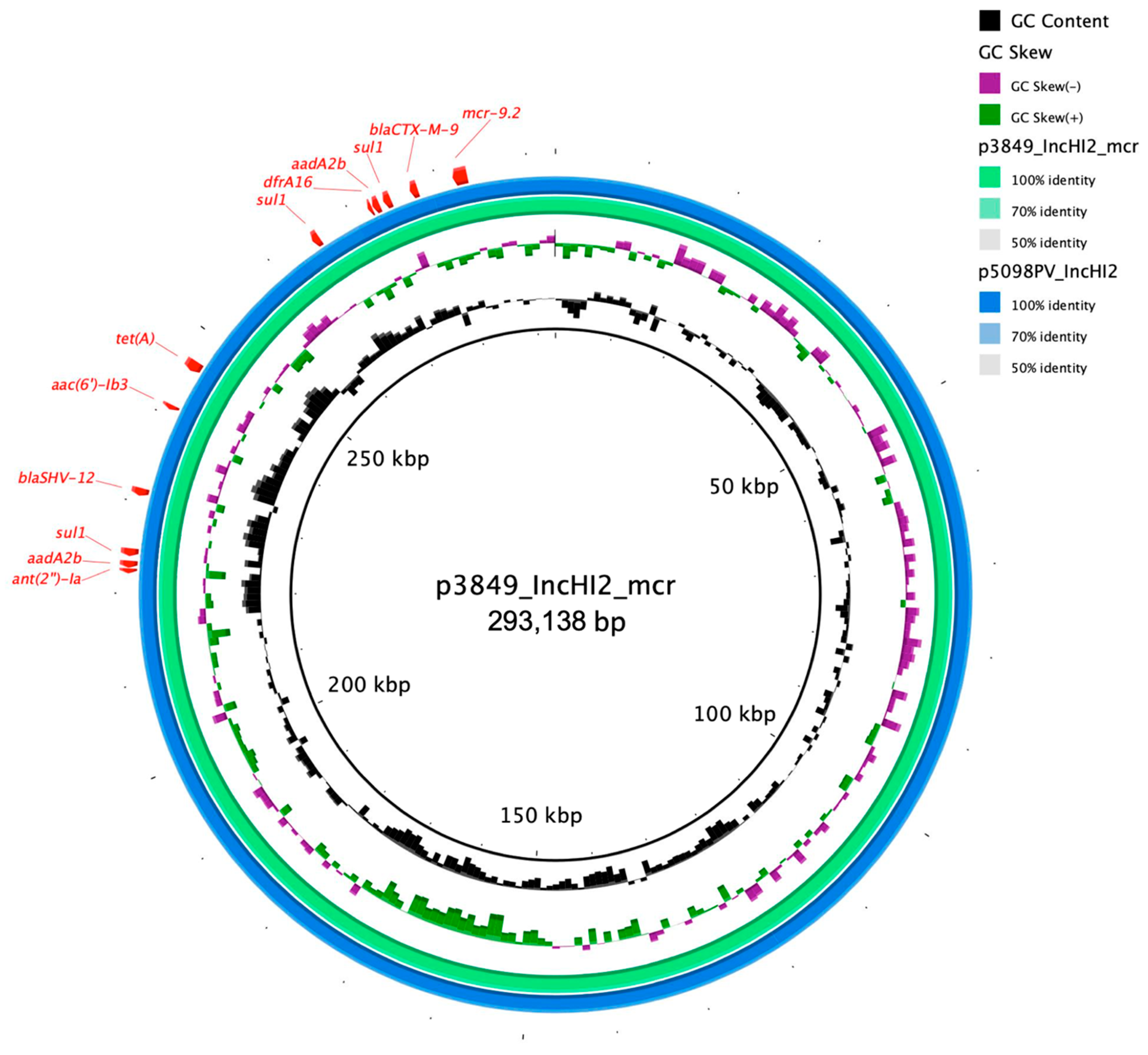 Diagnostics 11 00079 g003 Diagnostics 11 00079 g003