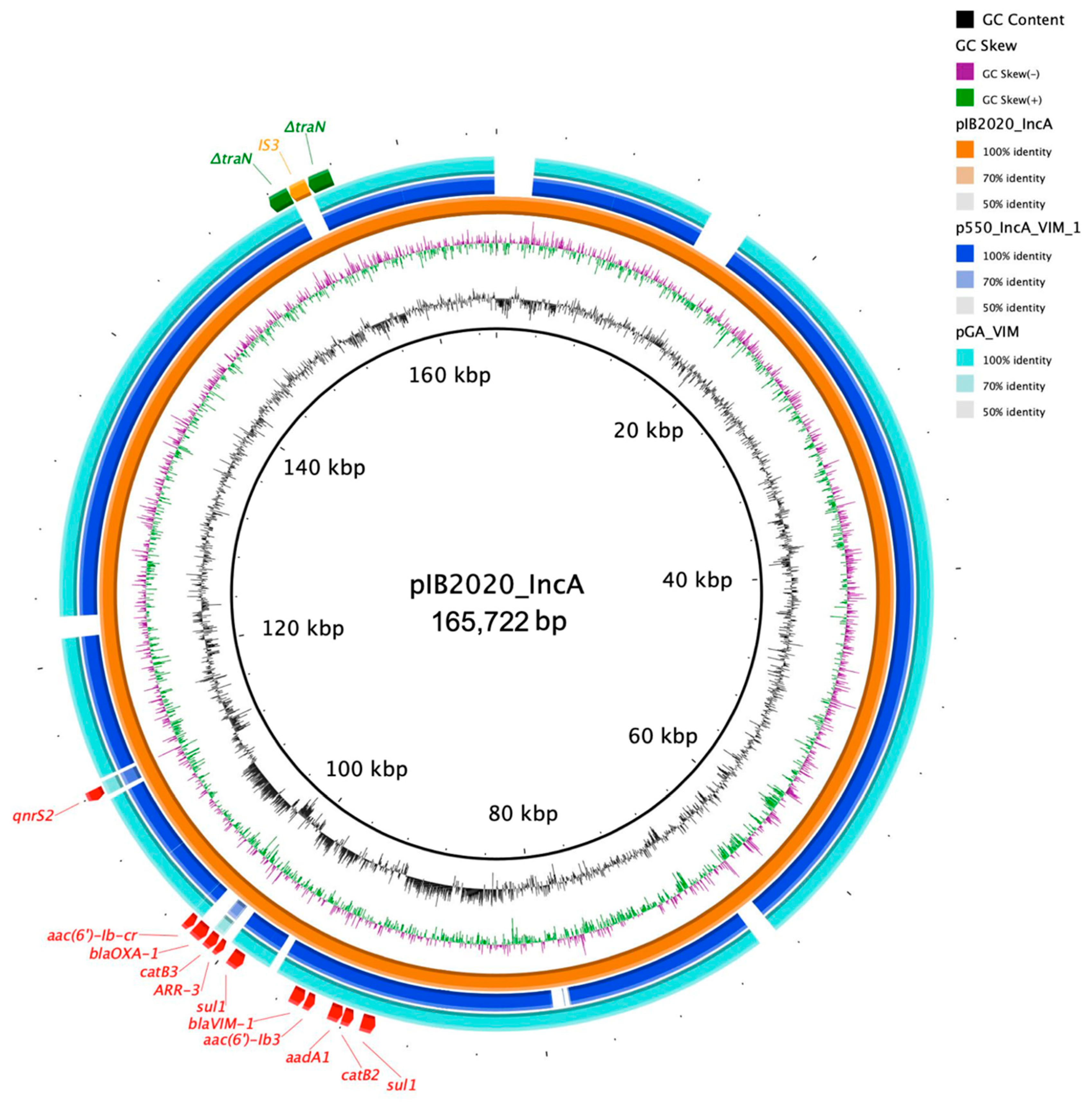 Diagnostics 11 00079 g004 Diagnostics 11 00079 g004