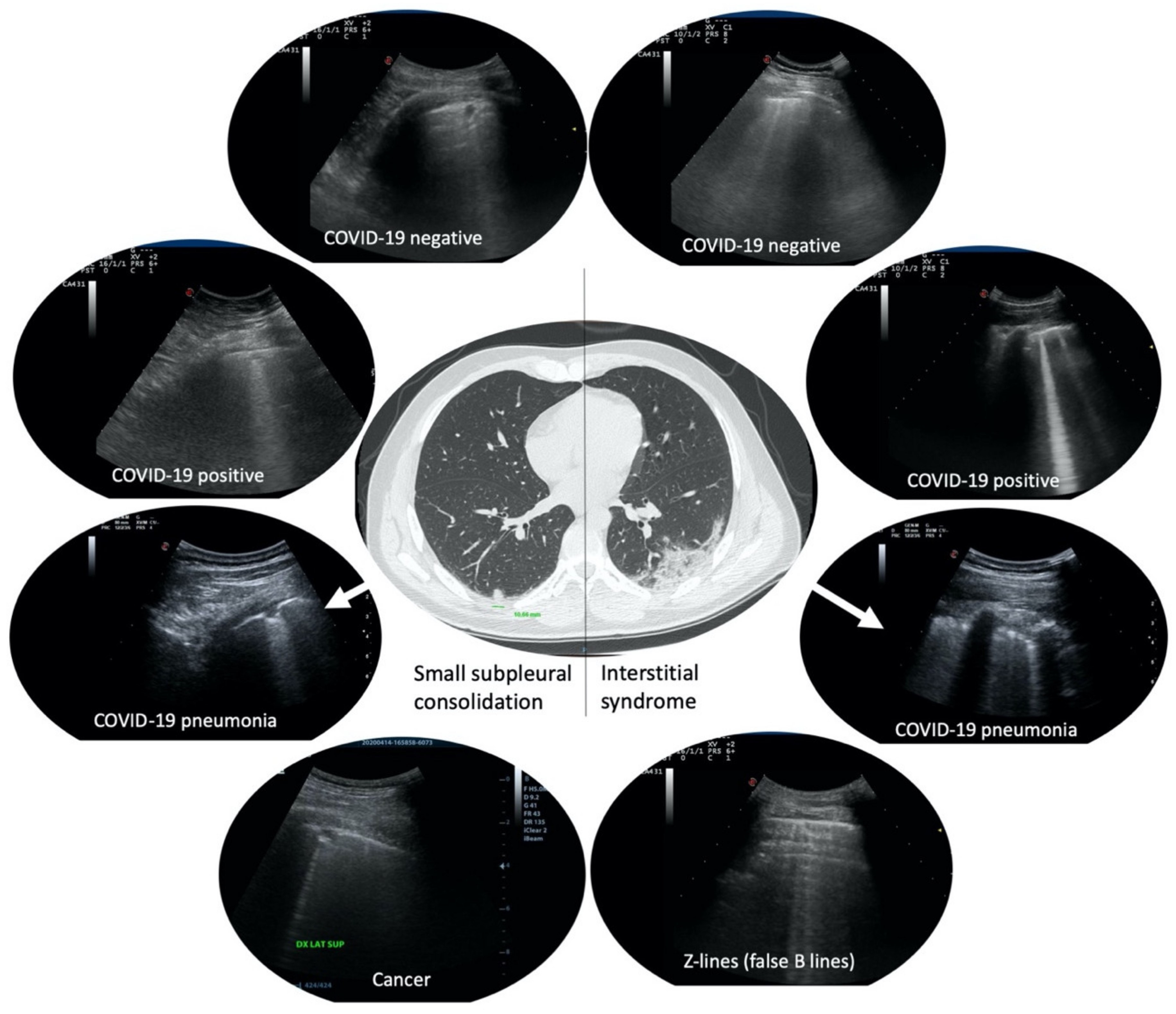 Diagnostics 11 00082 g001