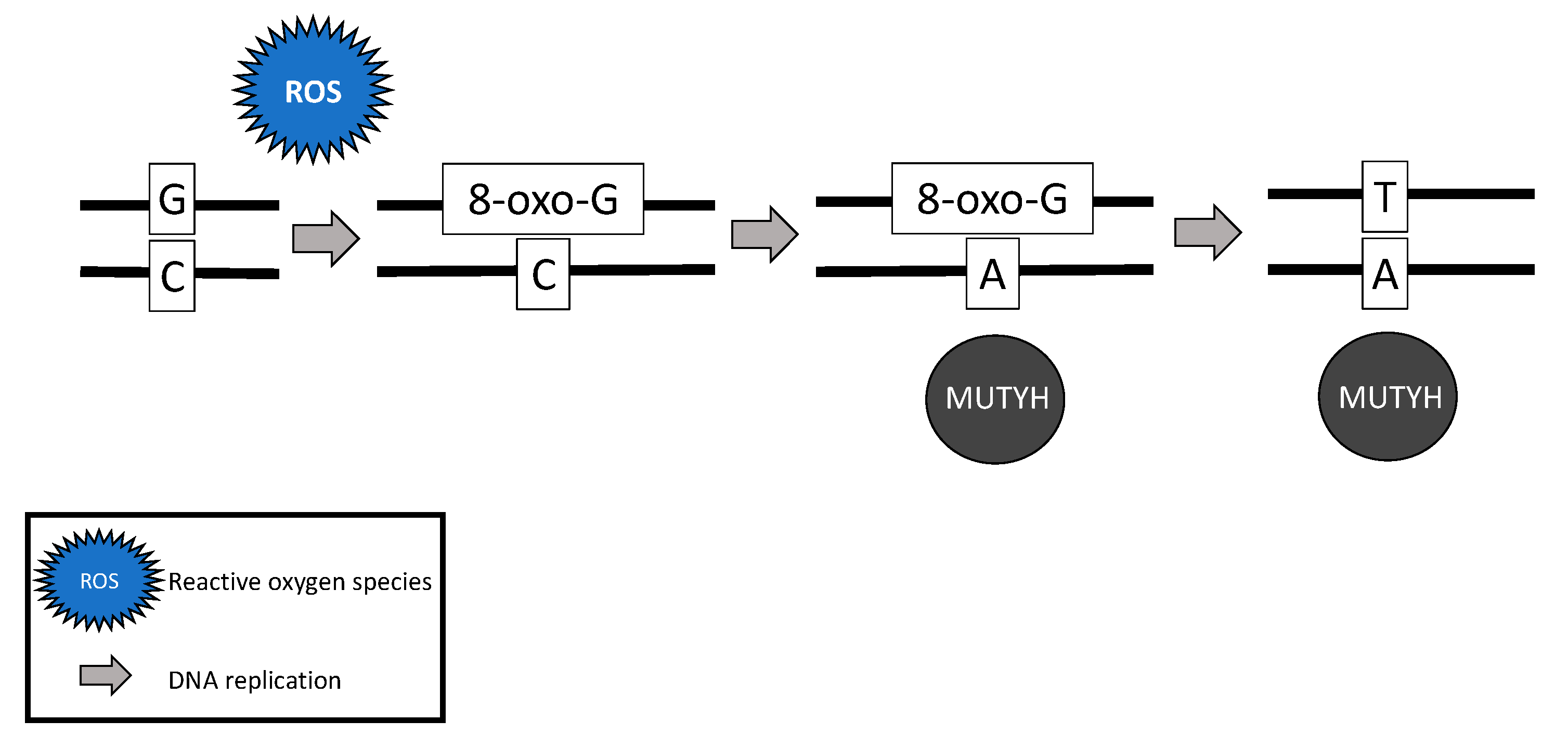 Diagnostics 11 00084 g002