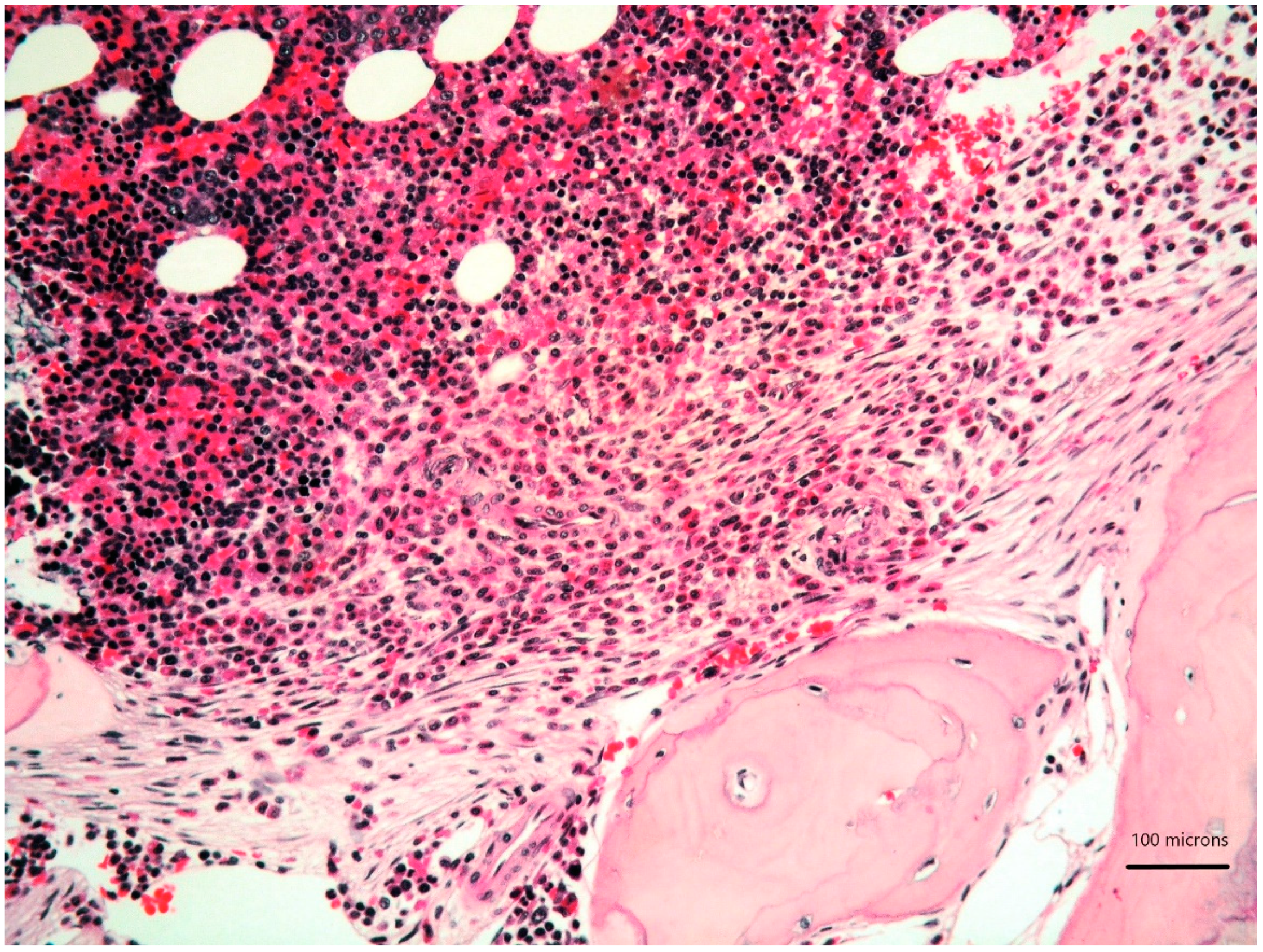 Diagnostics 11 00088 g001