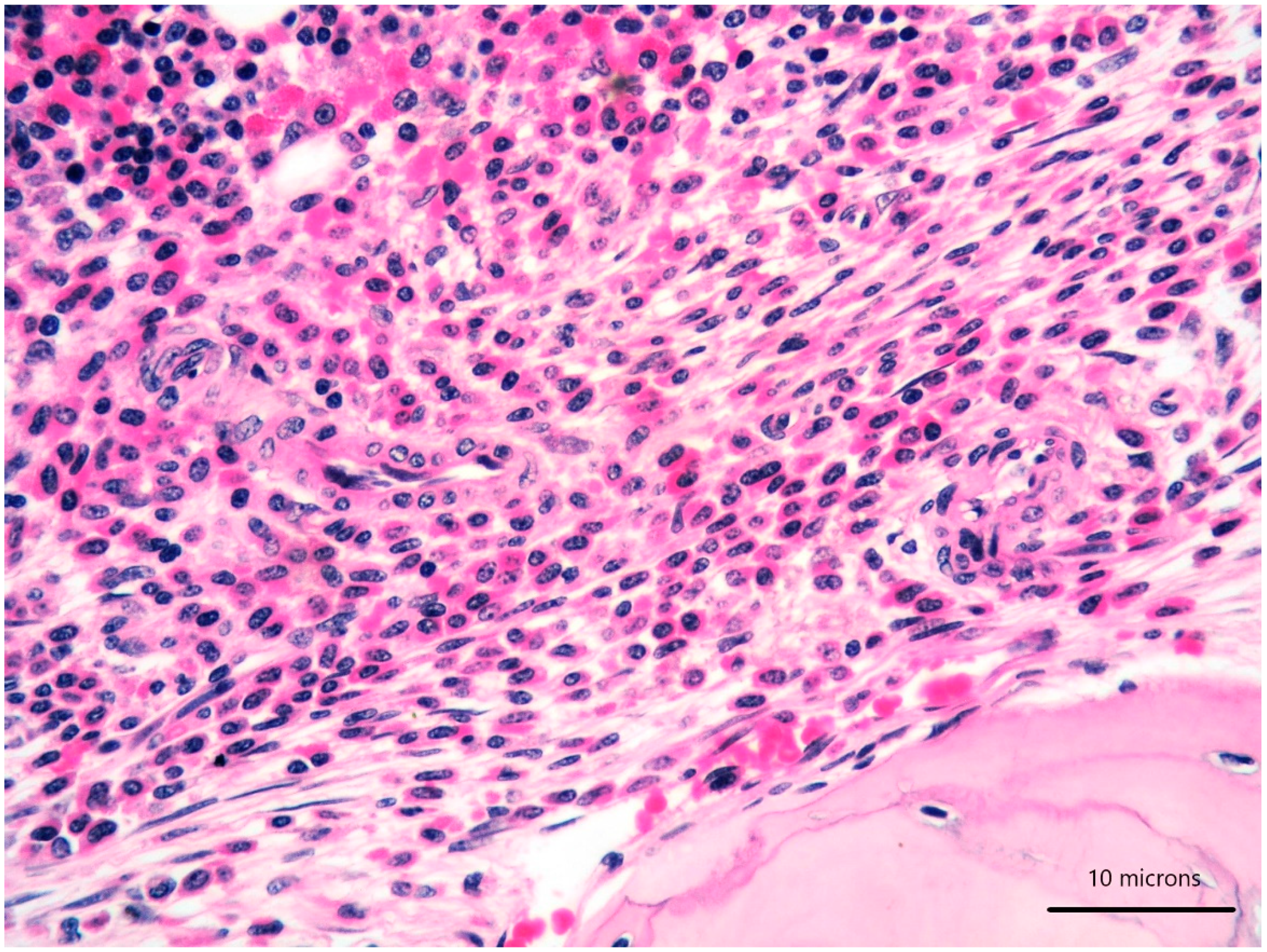 Diagnostics 11 00088 g002