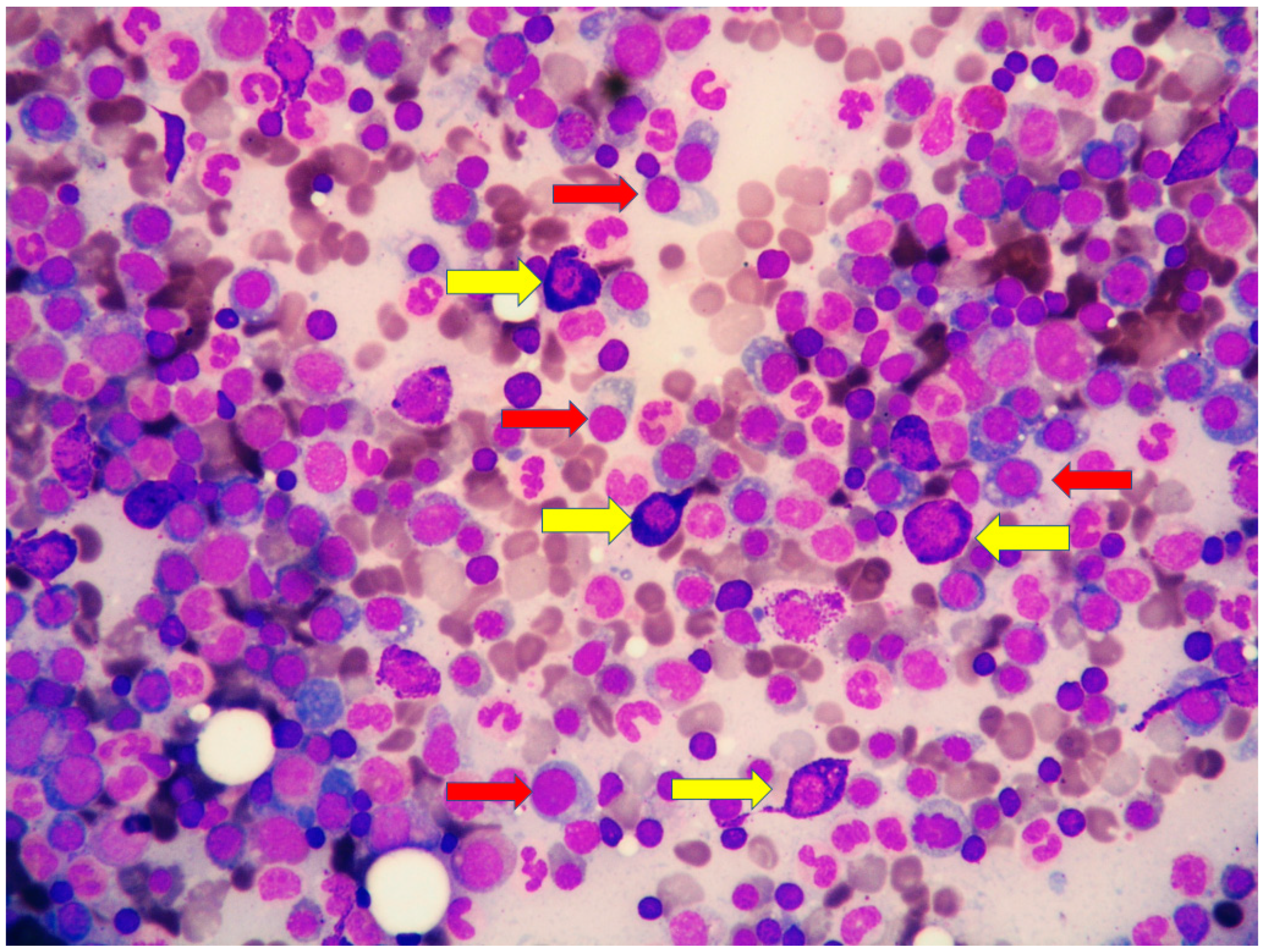 Diagnostics 11 00088 g005