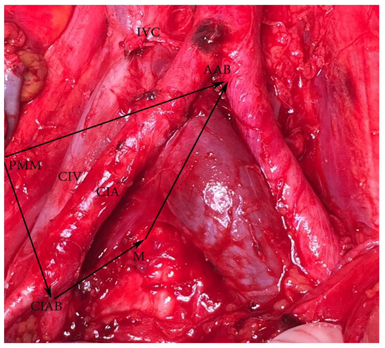 Diagnostics 11 00089 g004