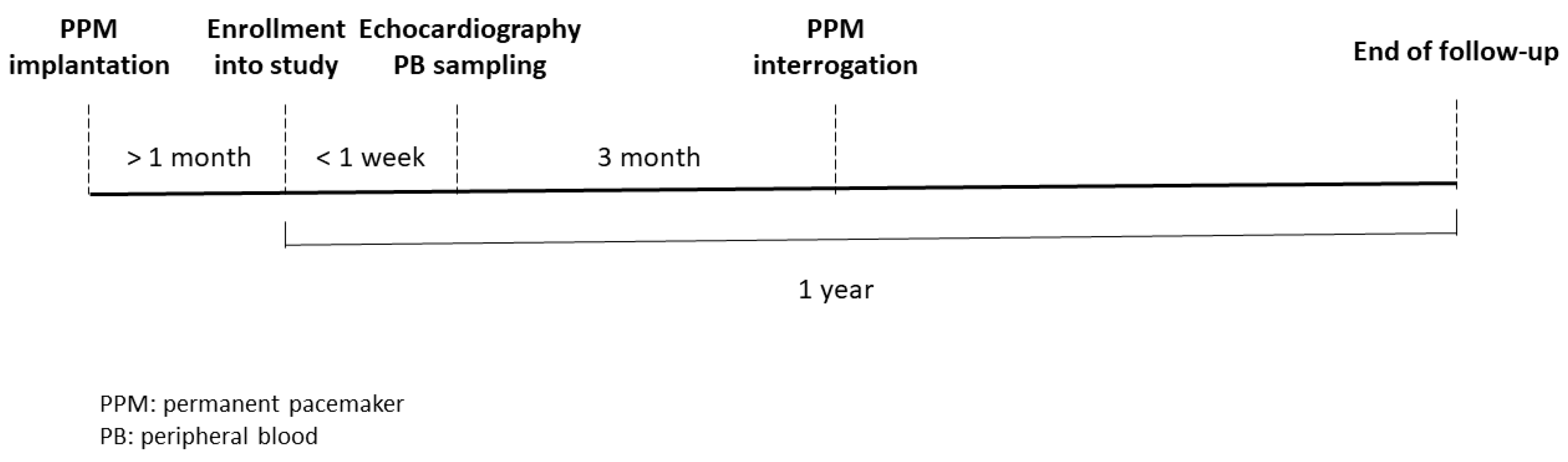 Diagnostics 11 00090 g001 Diagnostics 11 00090 g001