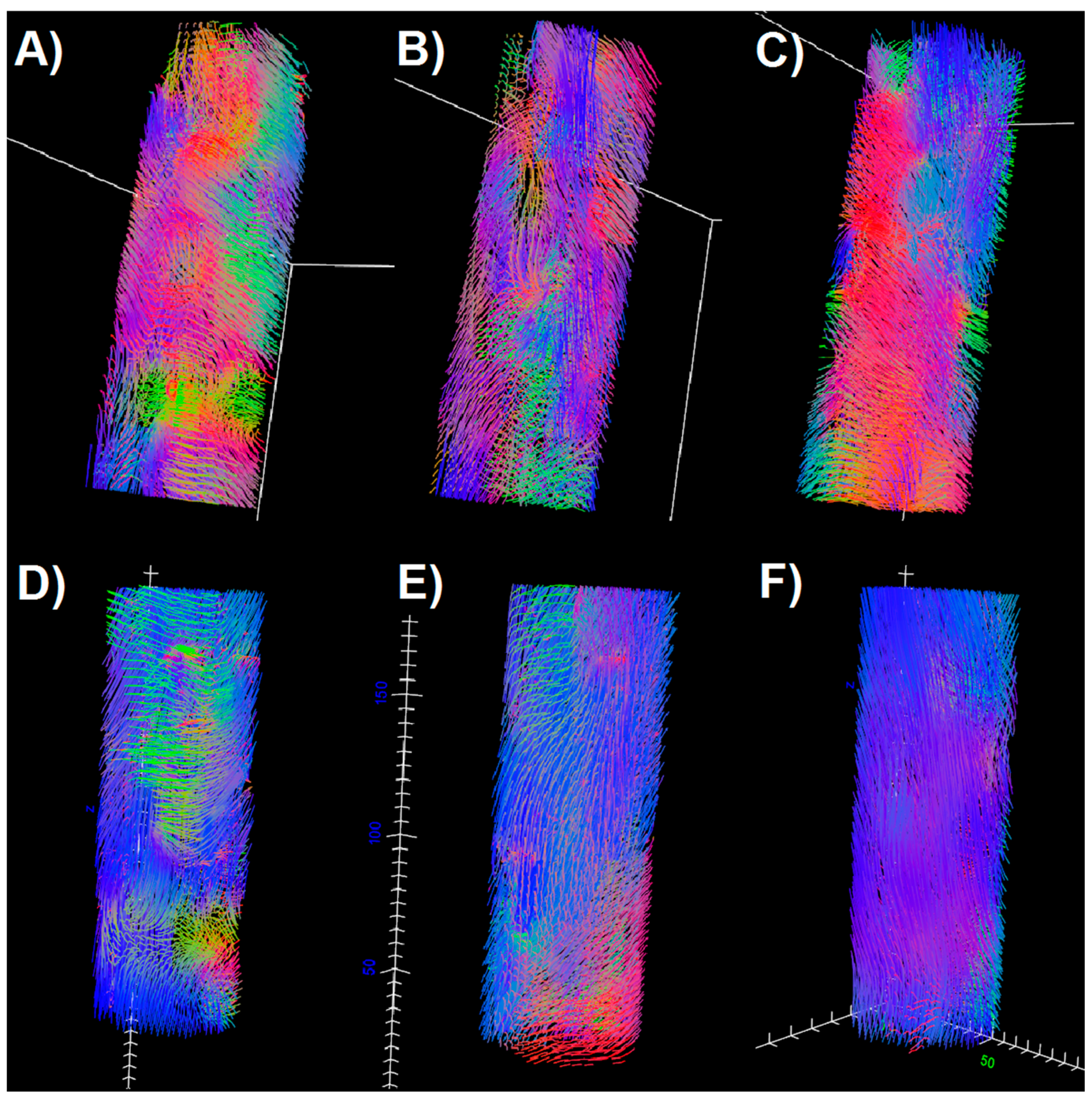 Diagnostics 11 00092 g003