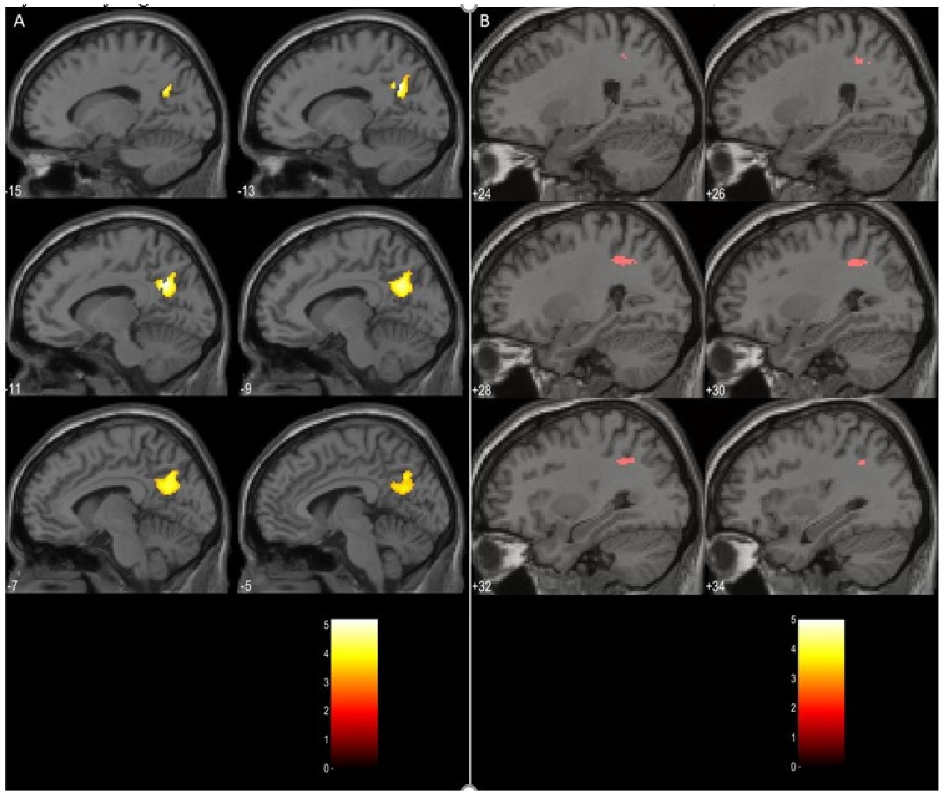 Diagnostics 11 00095 g001