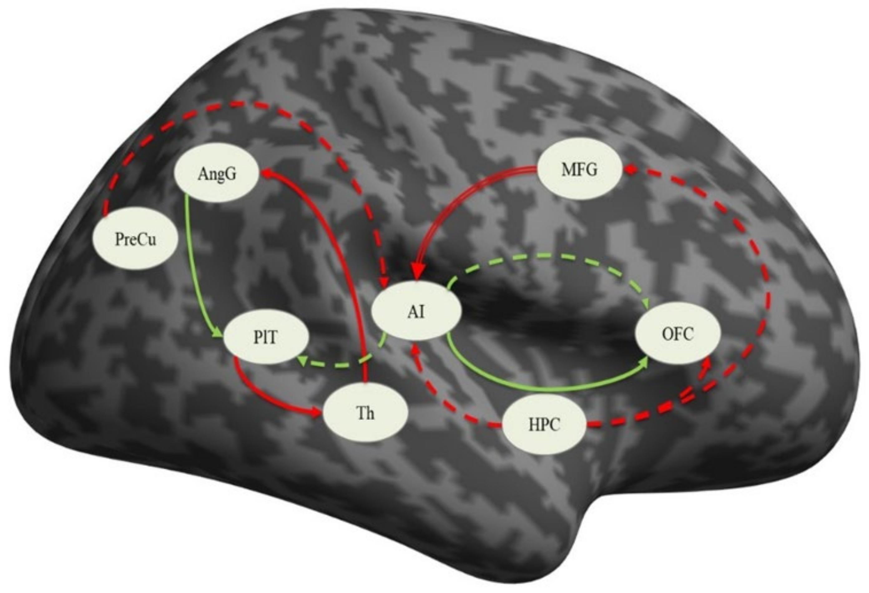 Diagnostics 11 00095 g002