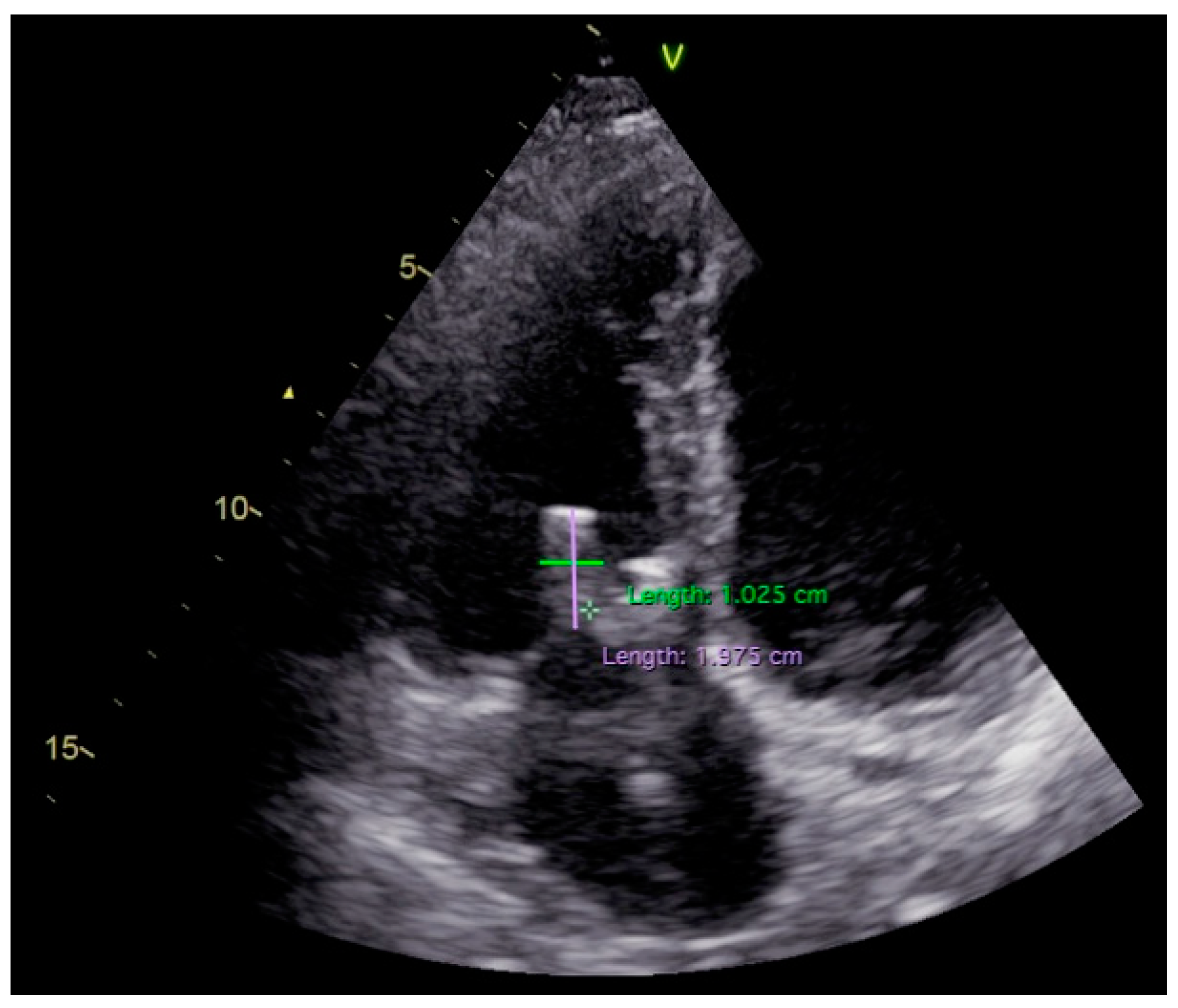 Diagnostics 11 00096 g003