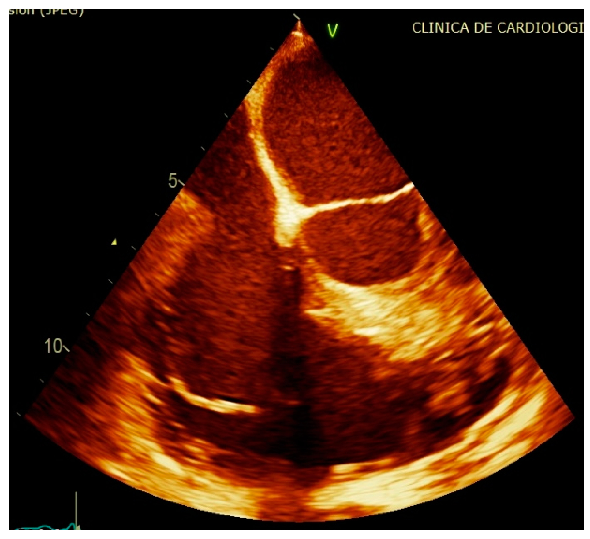 Diagnostics 11 00096 g007