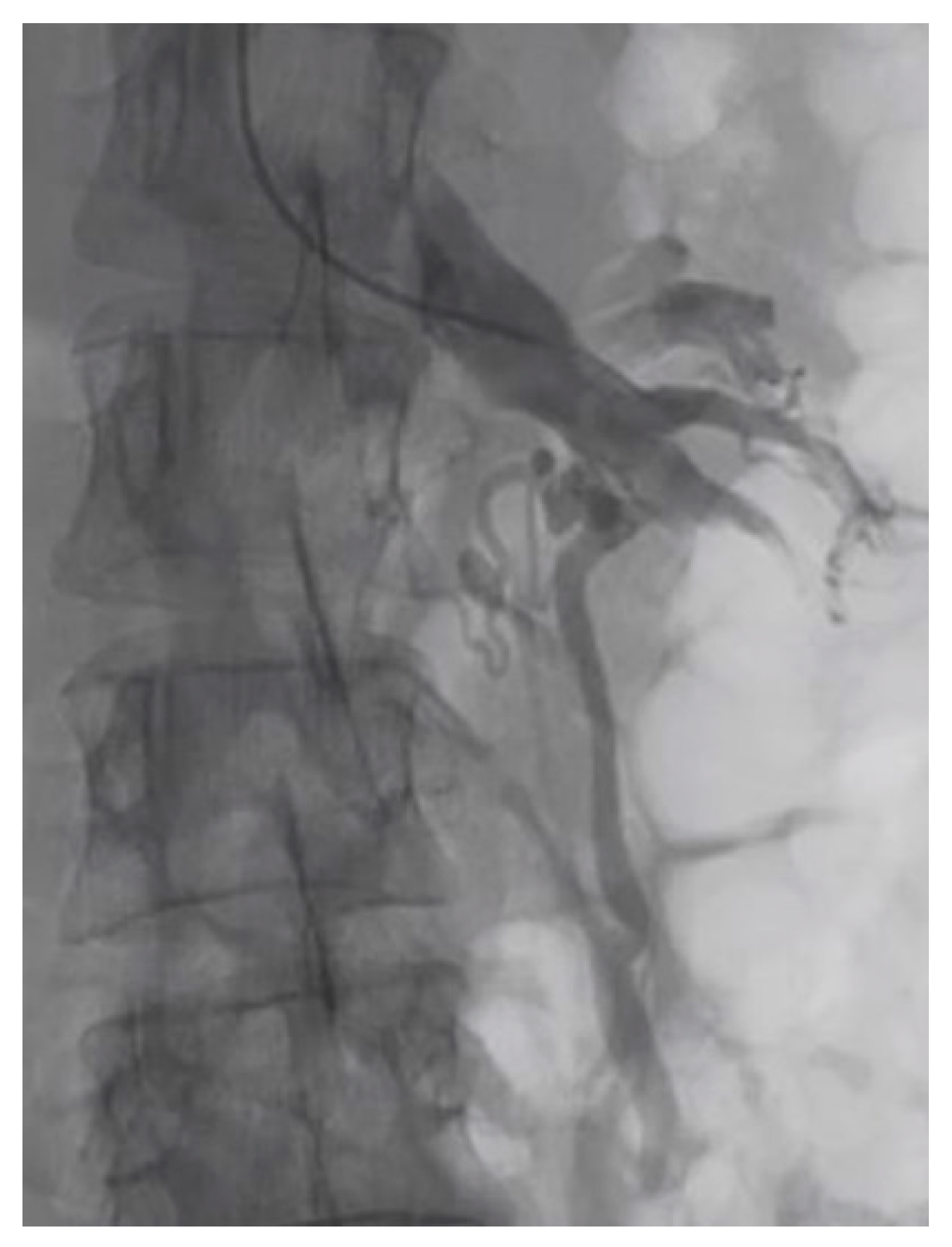 Diagnostics 11 00101 g004 Diagnostics 11 00101 g004