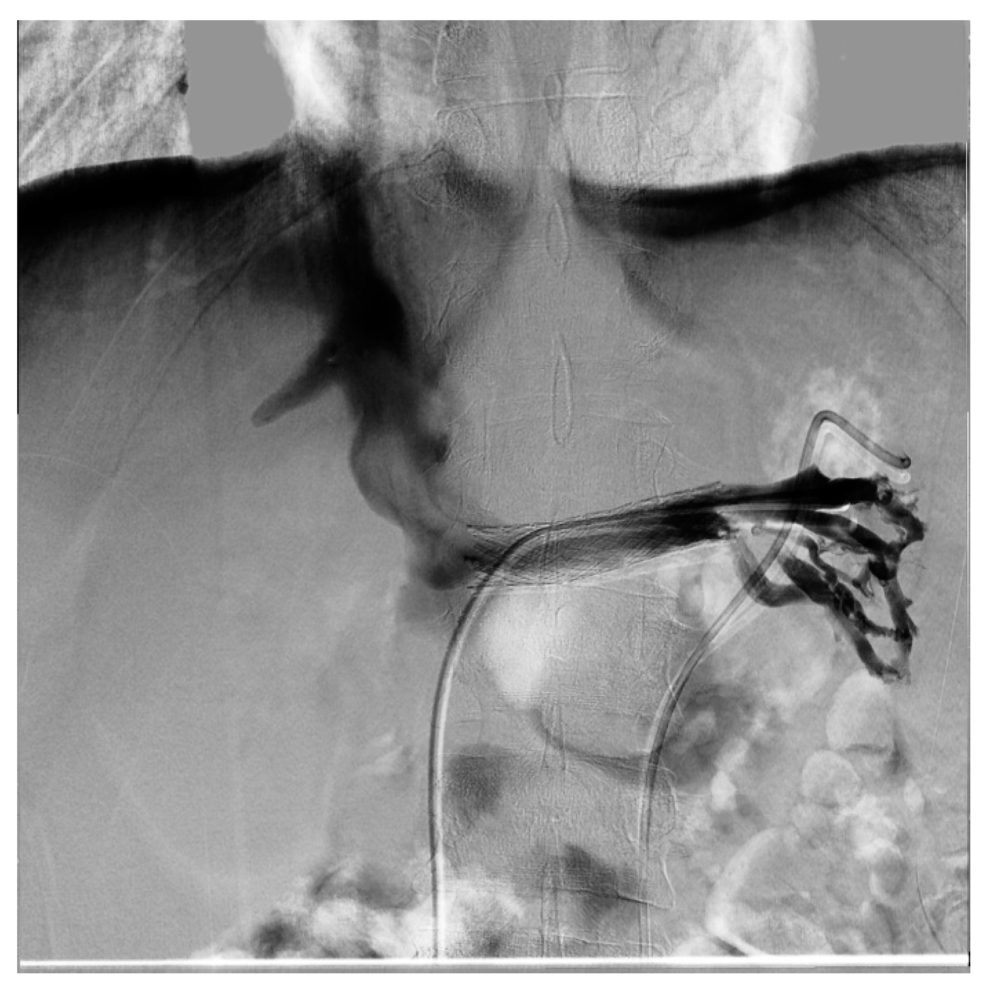 Diagnostics 11 00101 g013 Diagnostics 11 00101 g013