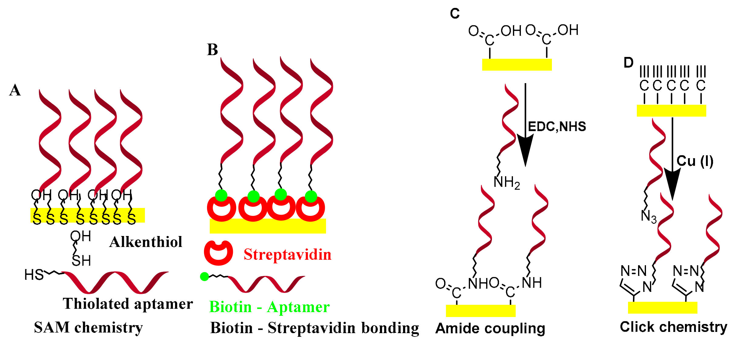 Diagnostics 11 00104 sch002