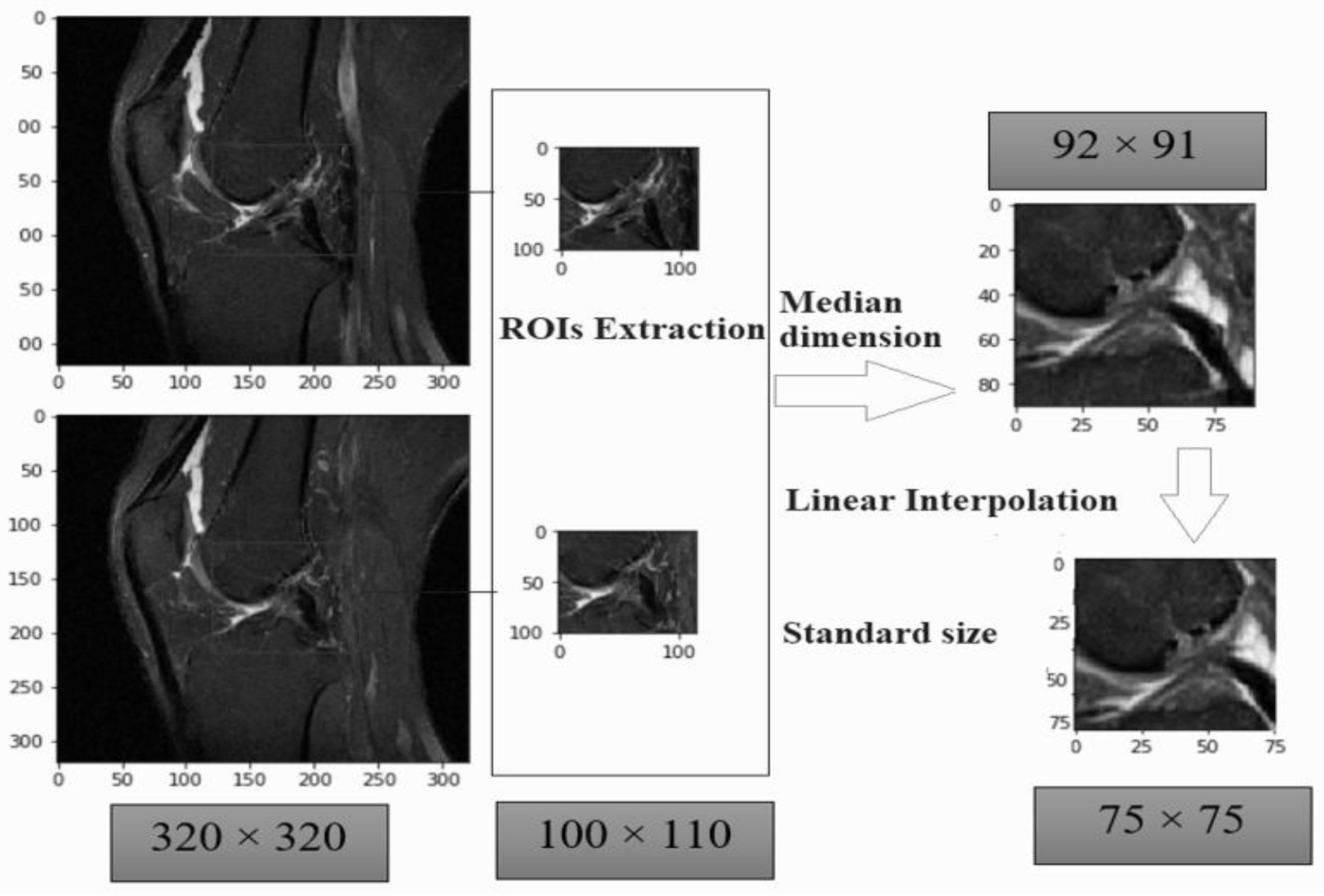 Diagnostics 11 00105 g003 Diagnostics 11 00105 g003
