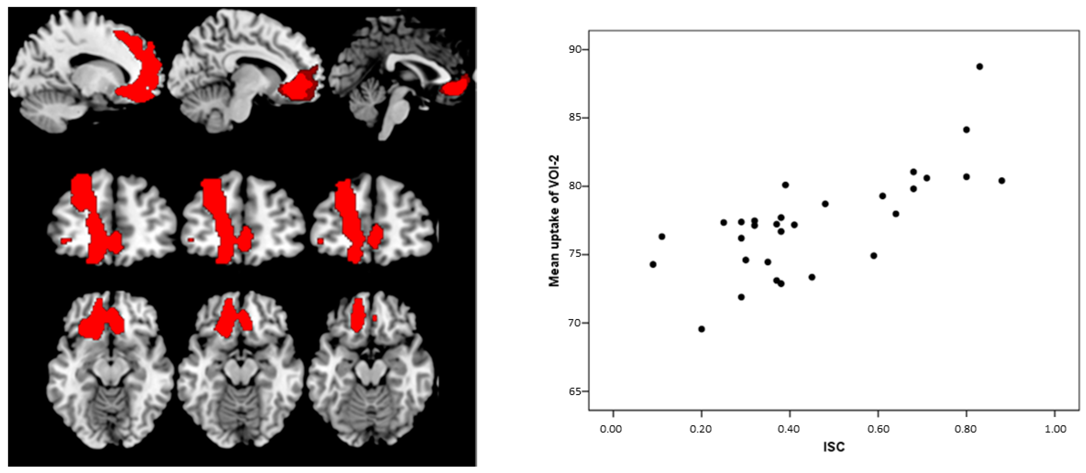 Diagnostics 11 00108 g002