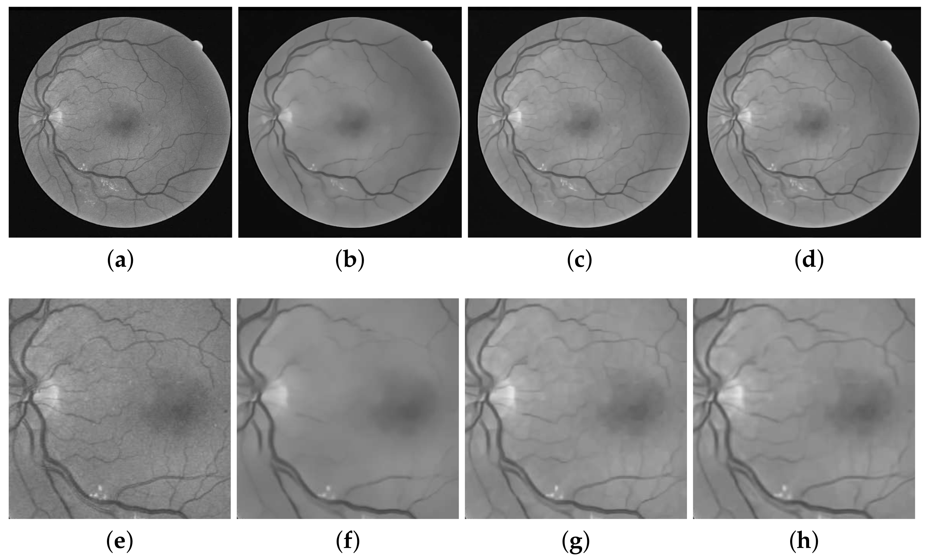 Diagnostics 11 00114 g002