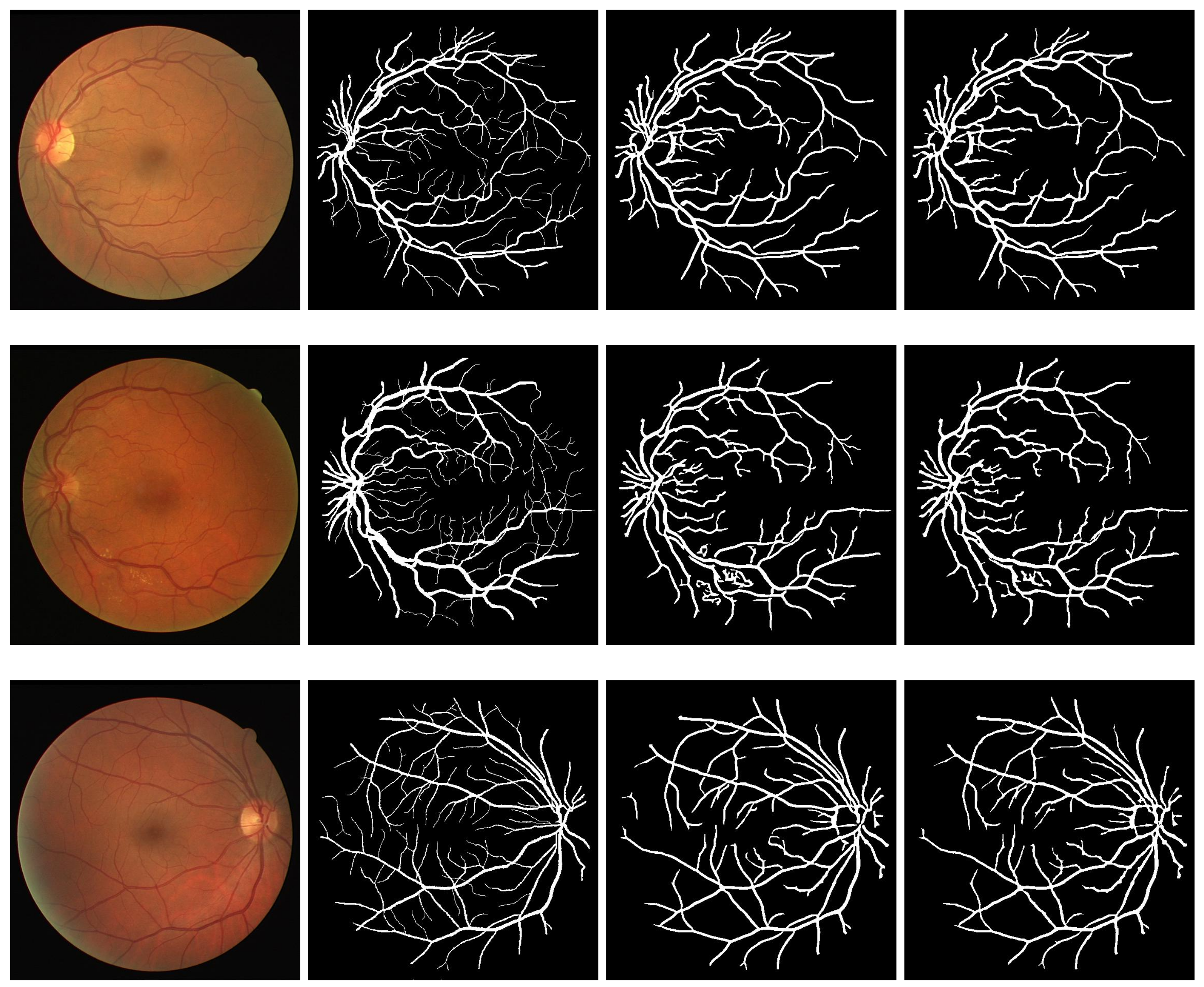 Diagnostics 11 00114 g007