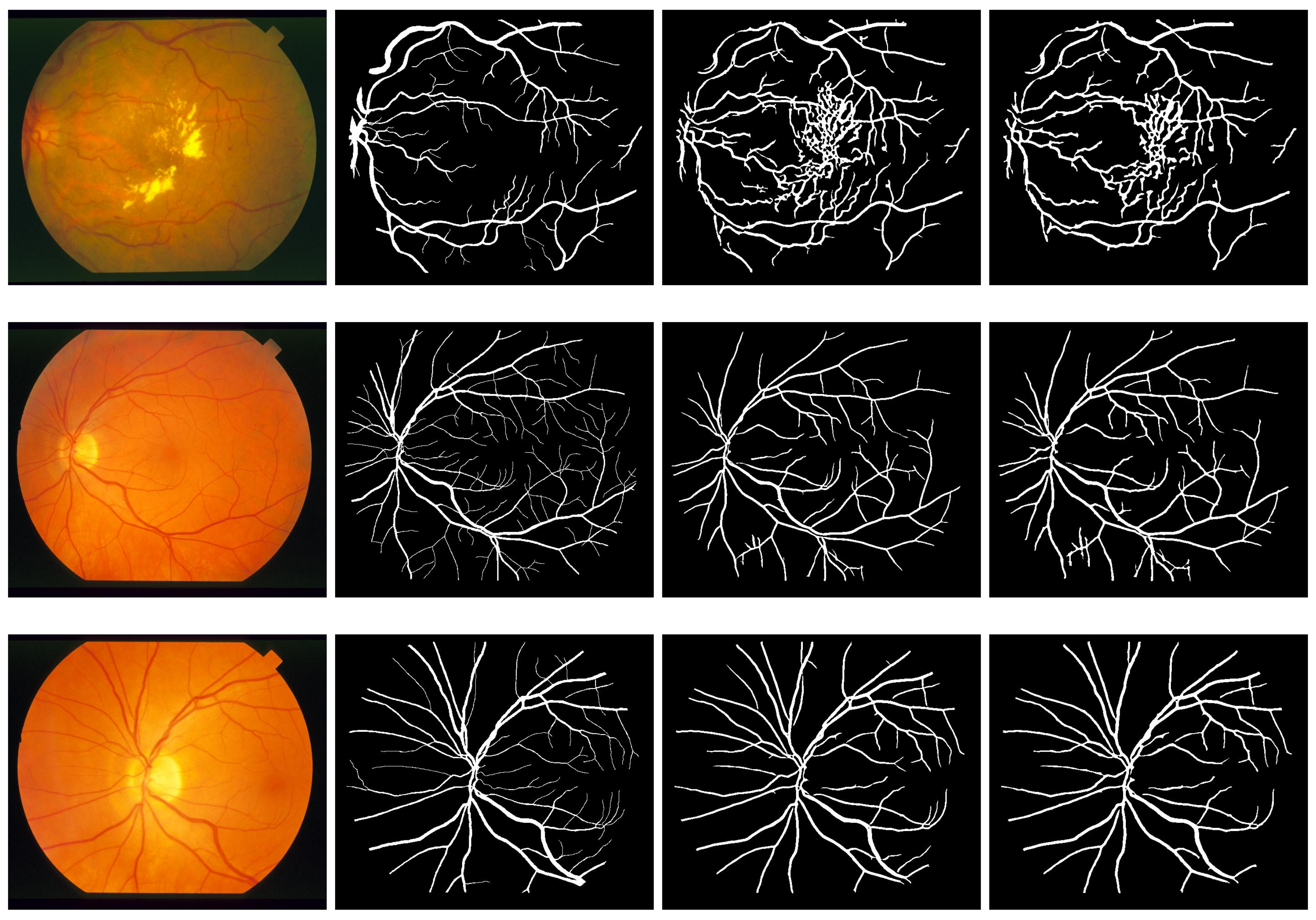 Diagnostics 11 00114 g008