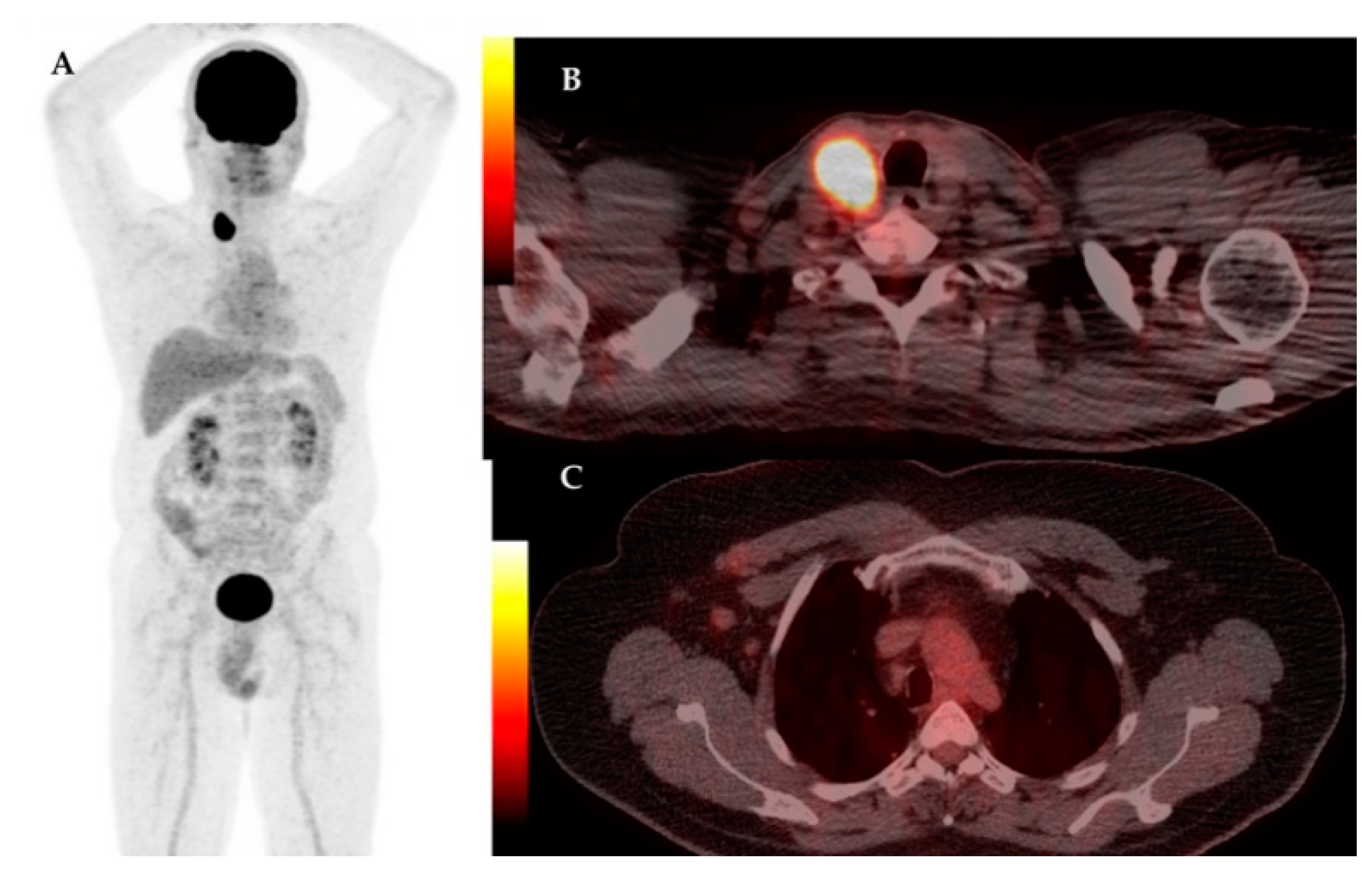 Diagnostics 11 00119 g005