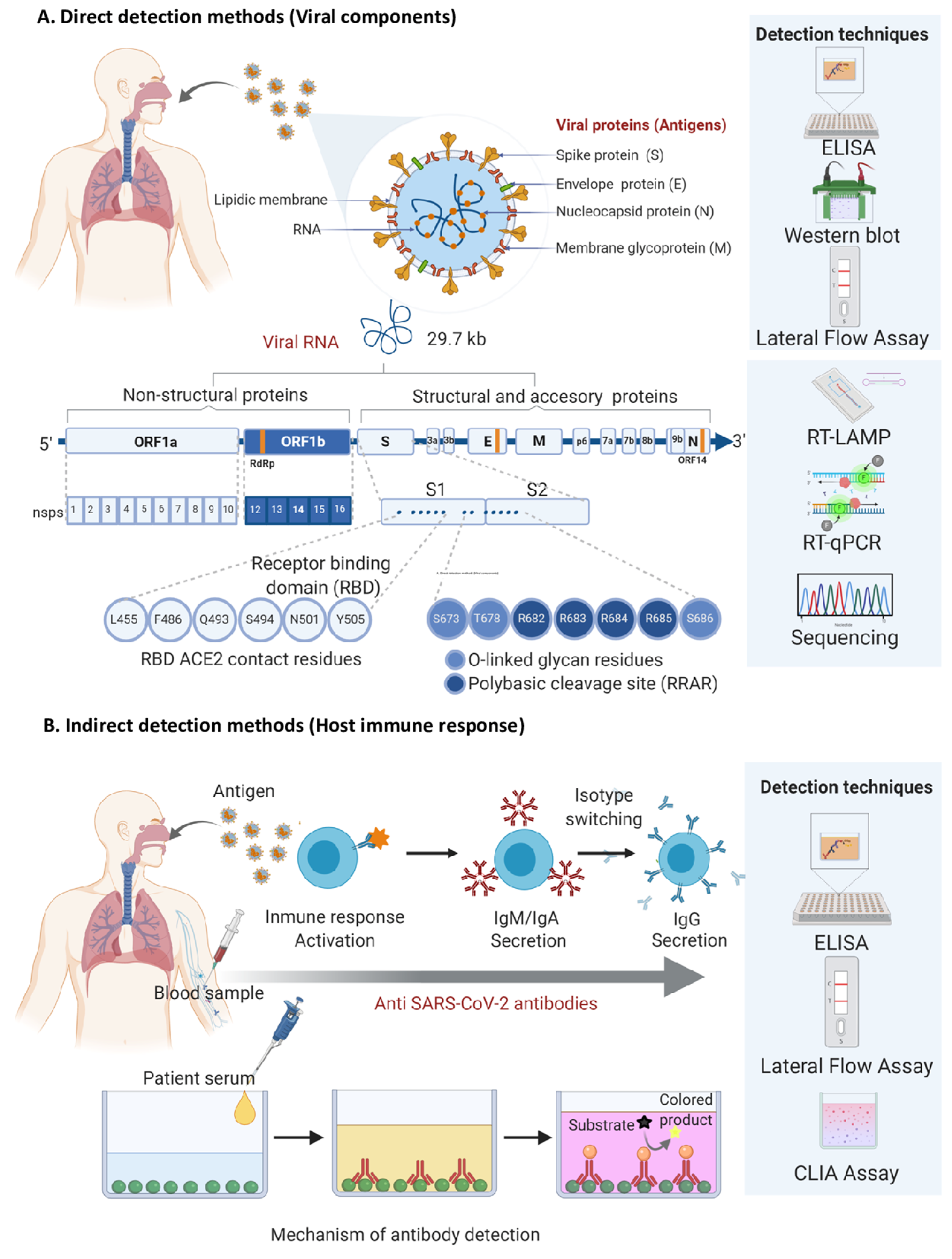 Diagnostics 11 00124 g001 Diagnostics 11 00124 g001