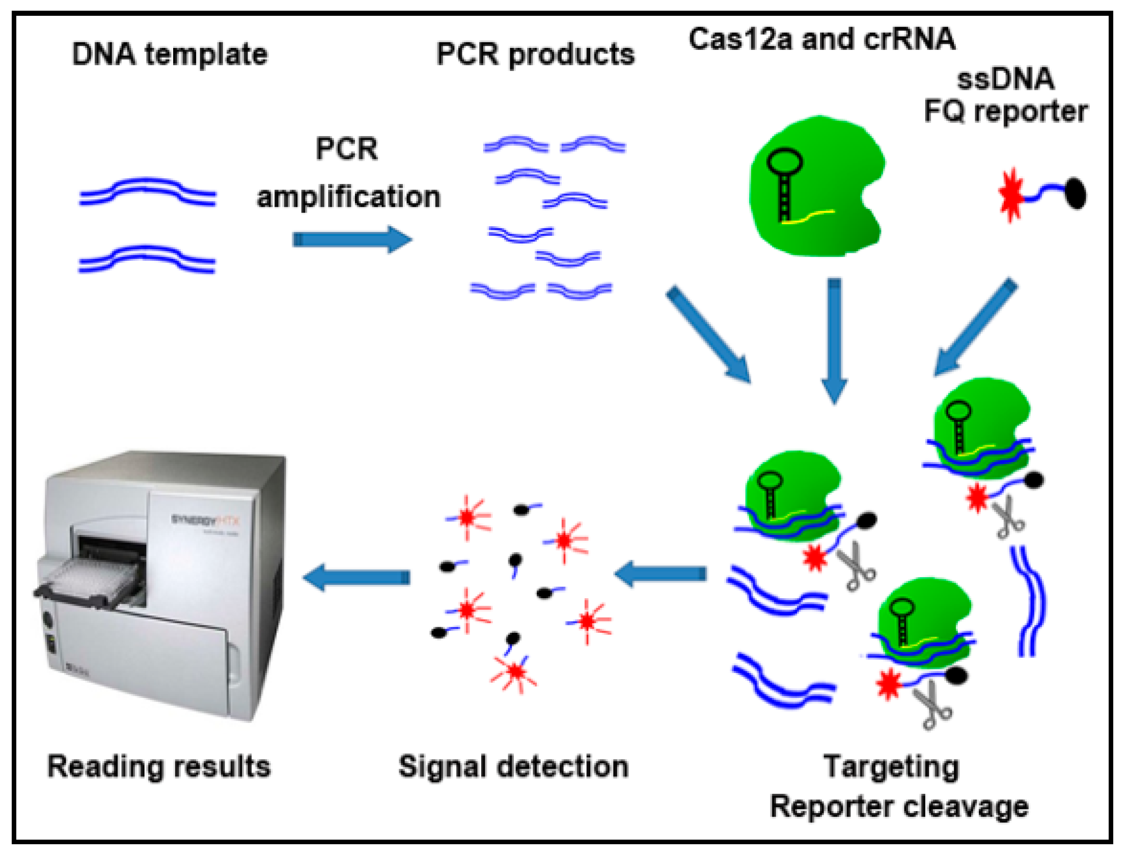 Diagnostics 11 00125 g001 Diagnostics 11 00125 g001
