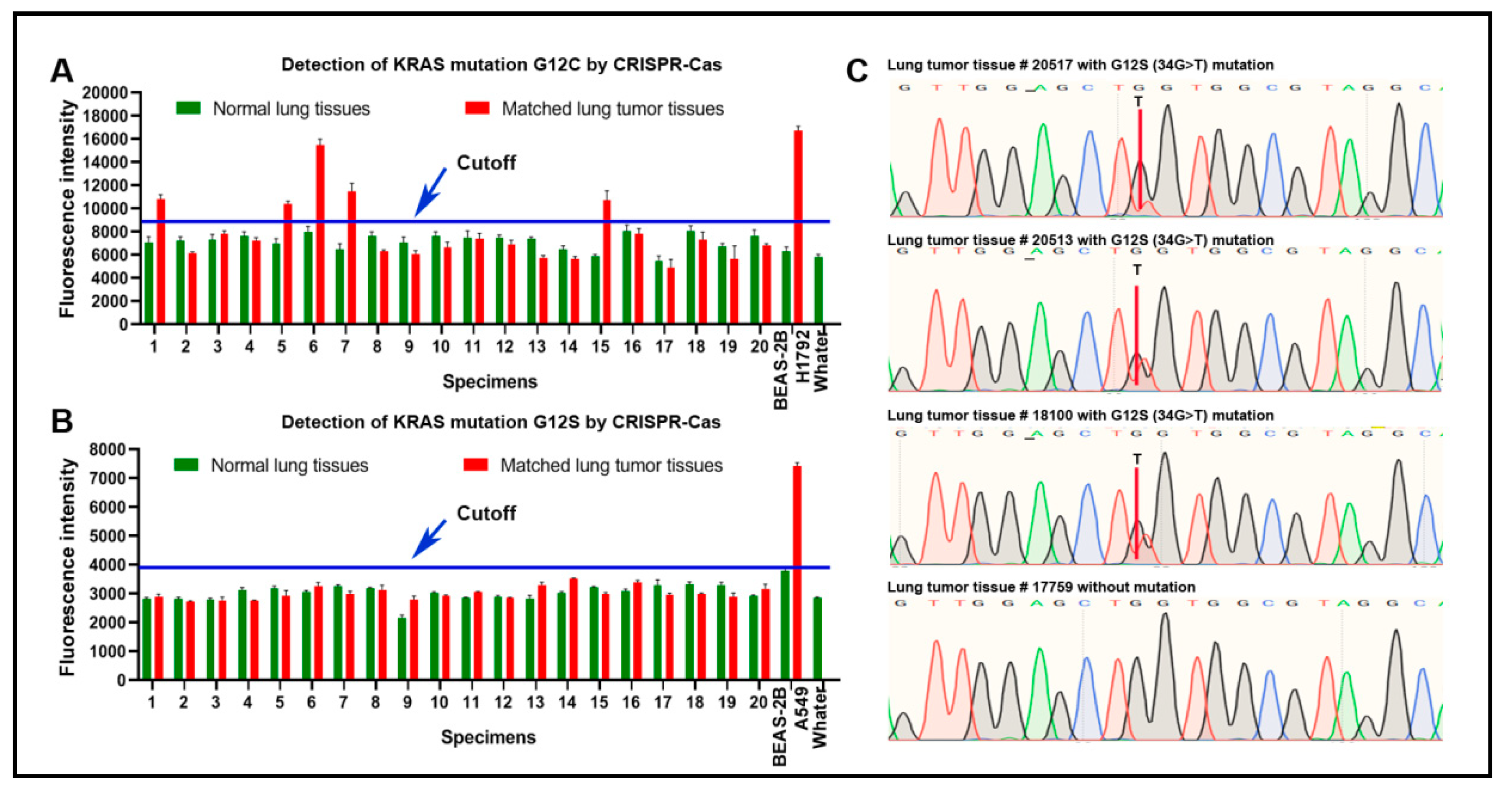 Diagnostics 11 00125 g005 Diagnostics 11 00125 g005