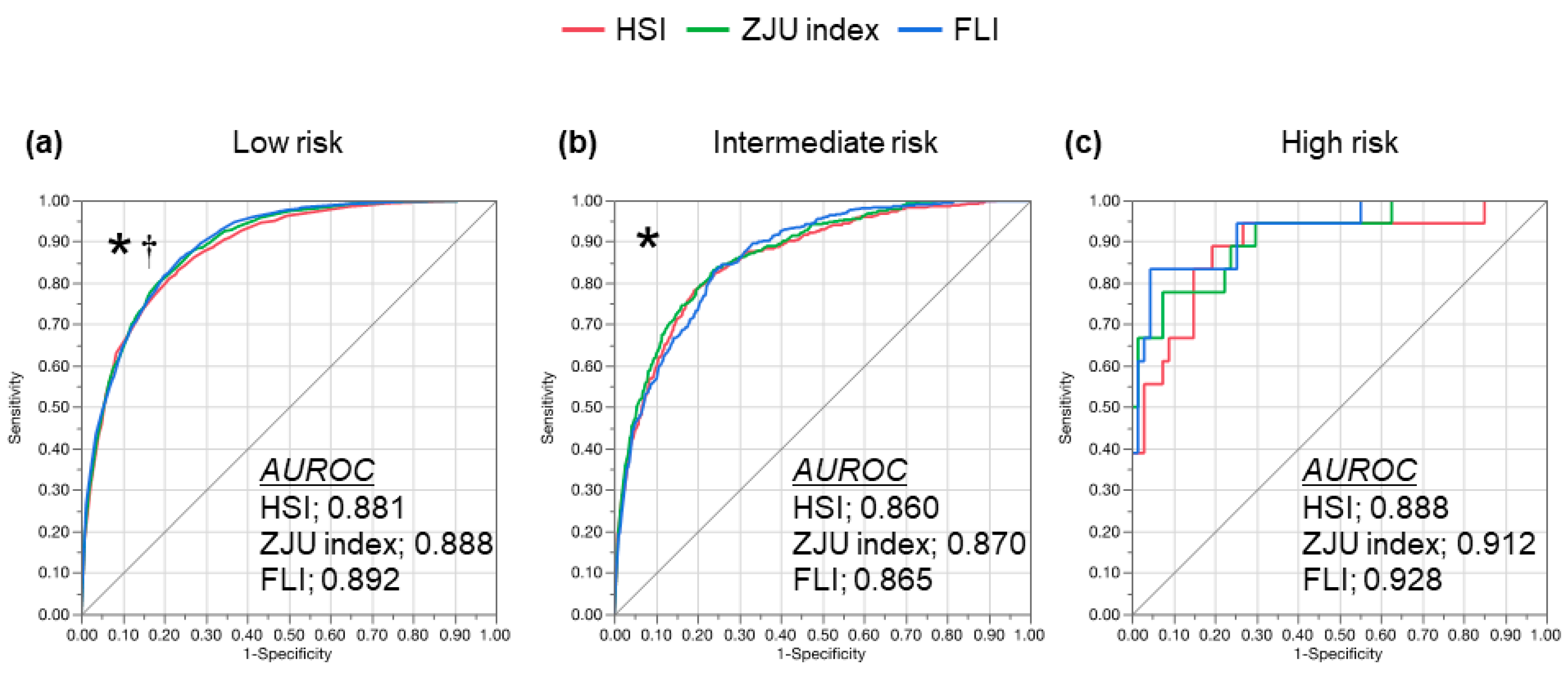 Diagnostics 11 00132 g003