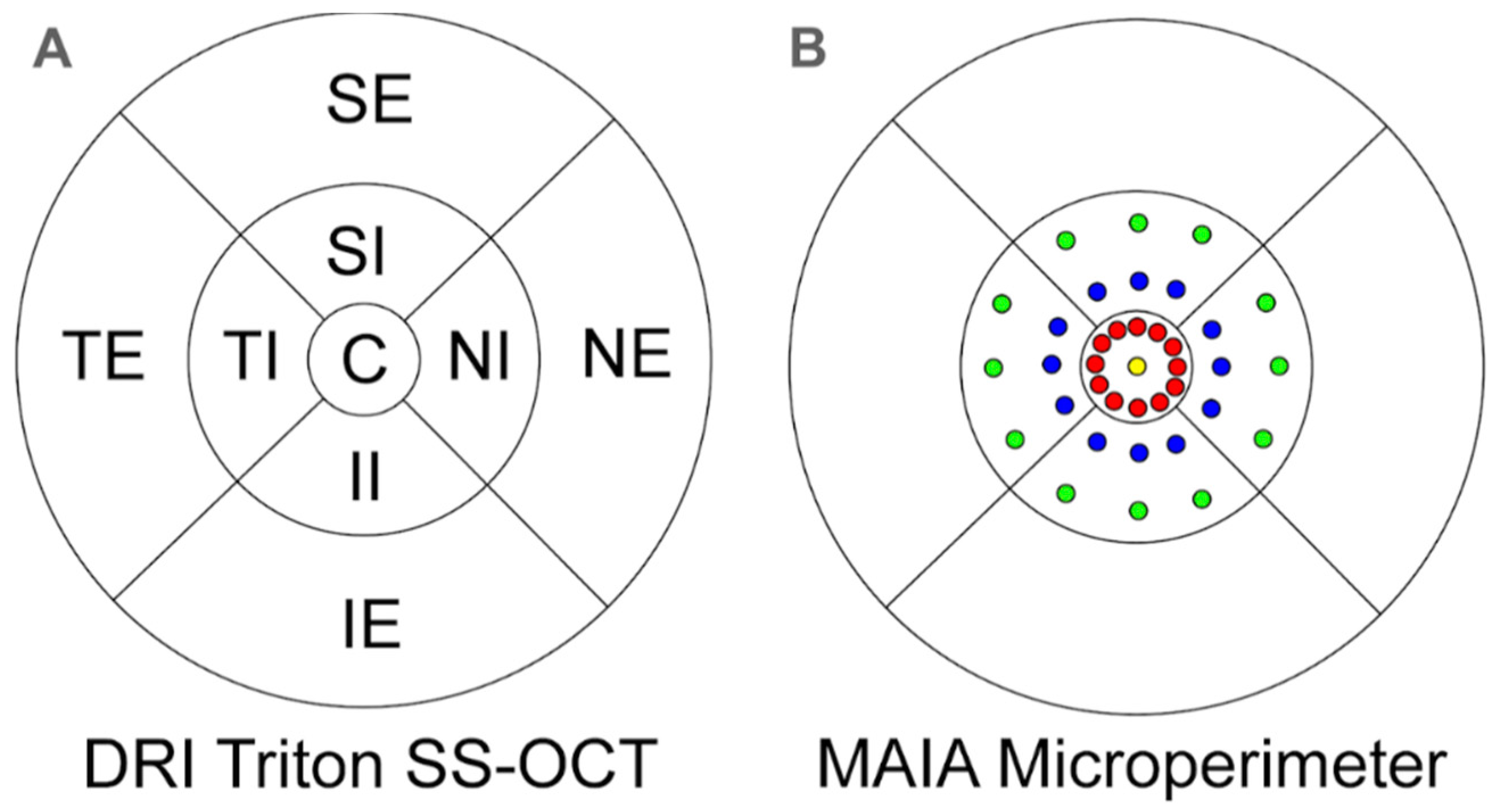 Diagnostics 11 00136 g002