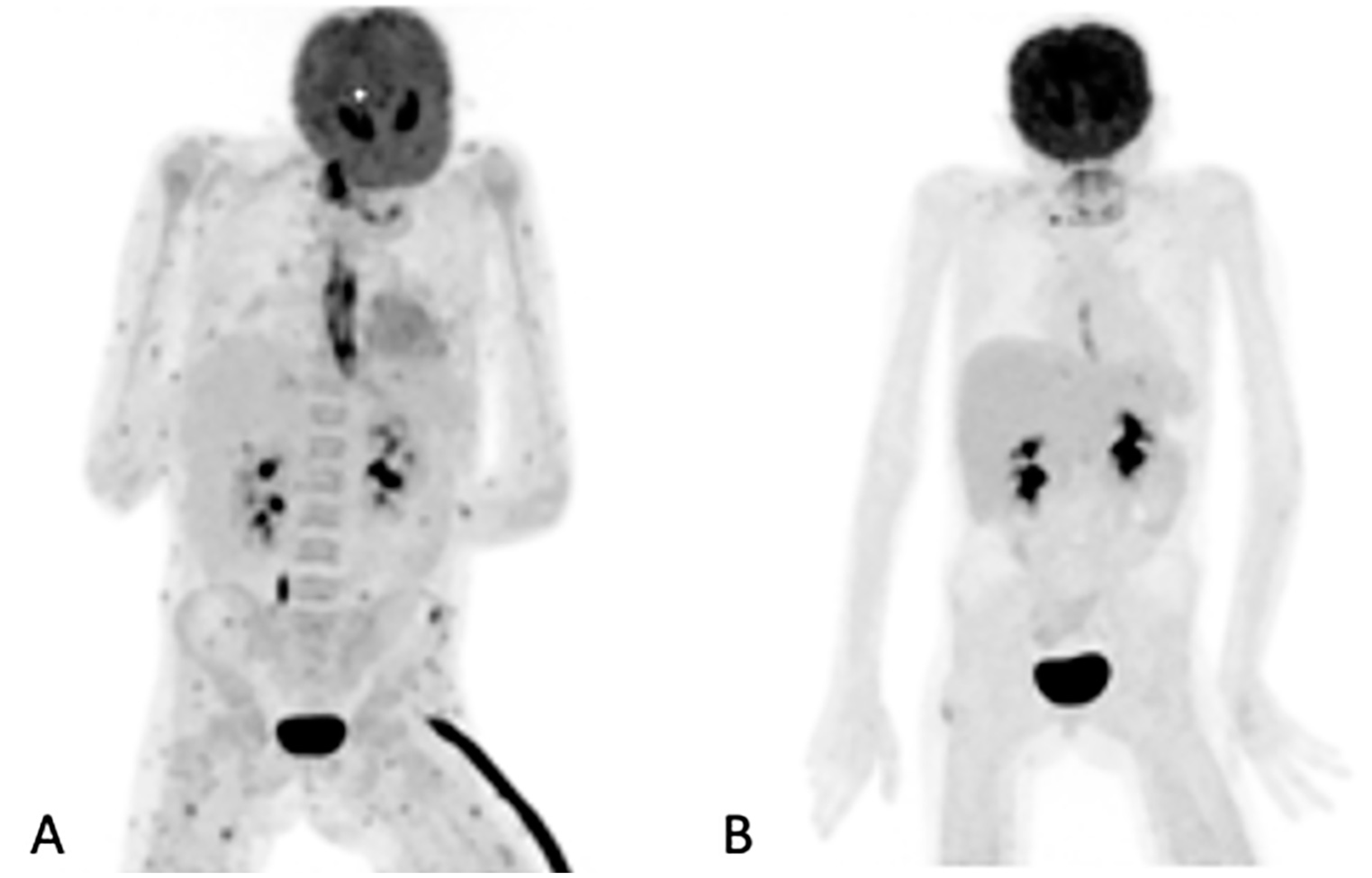 Diagnostics 11 00137 g002