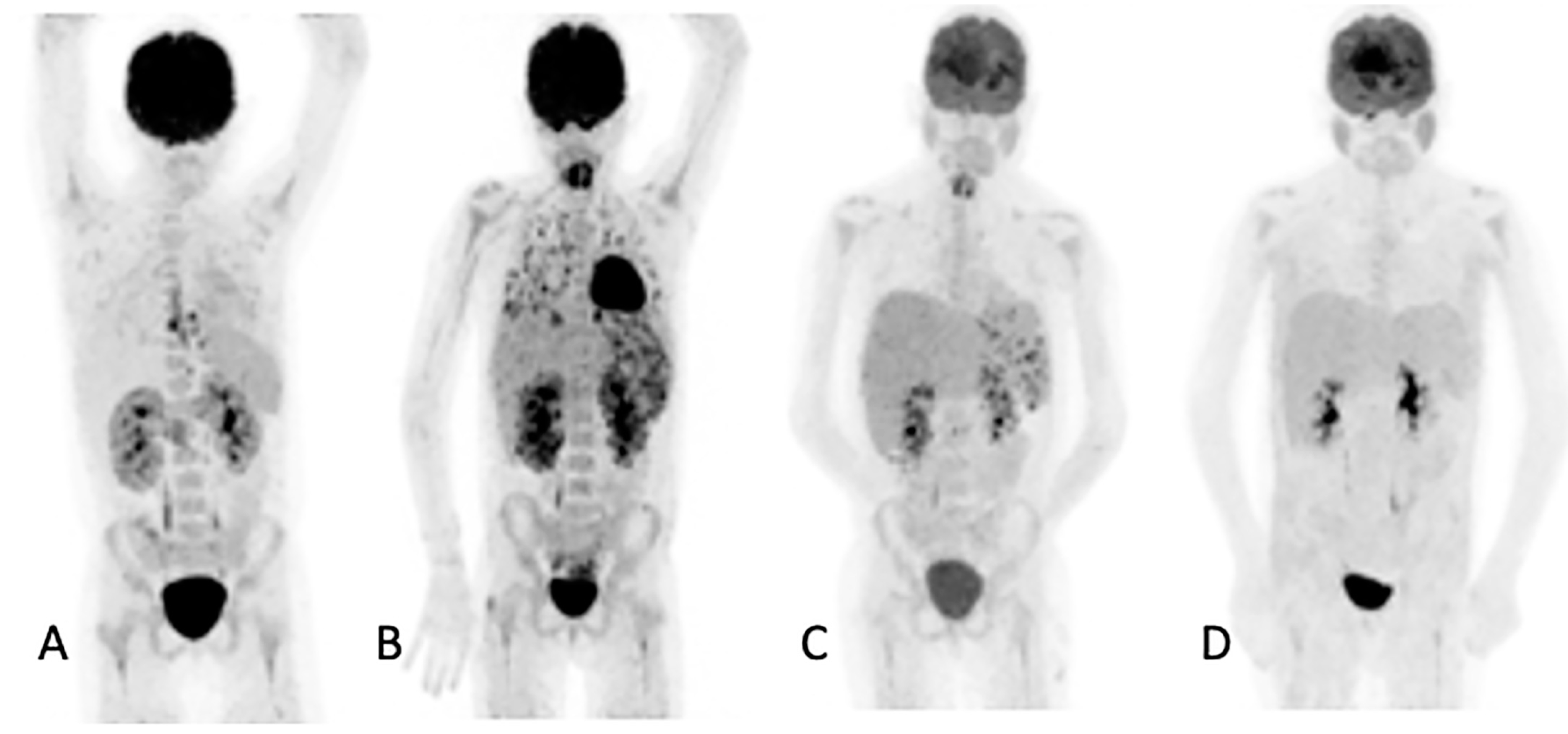 Diagnostics 11 00137 g003