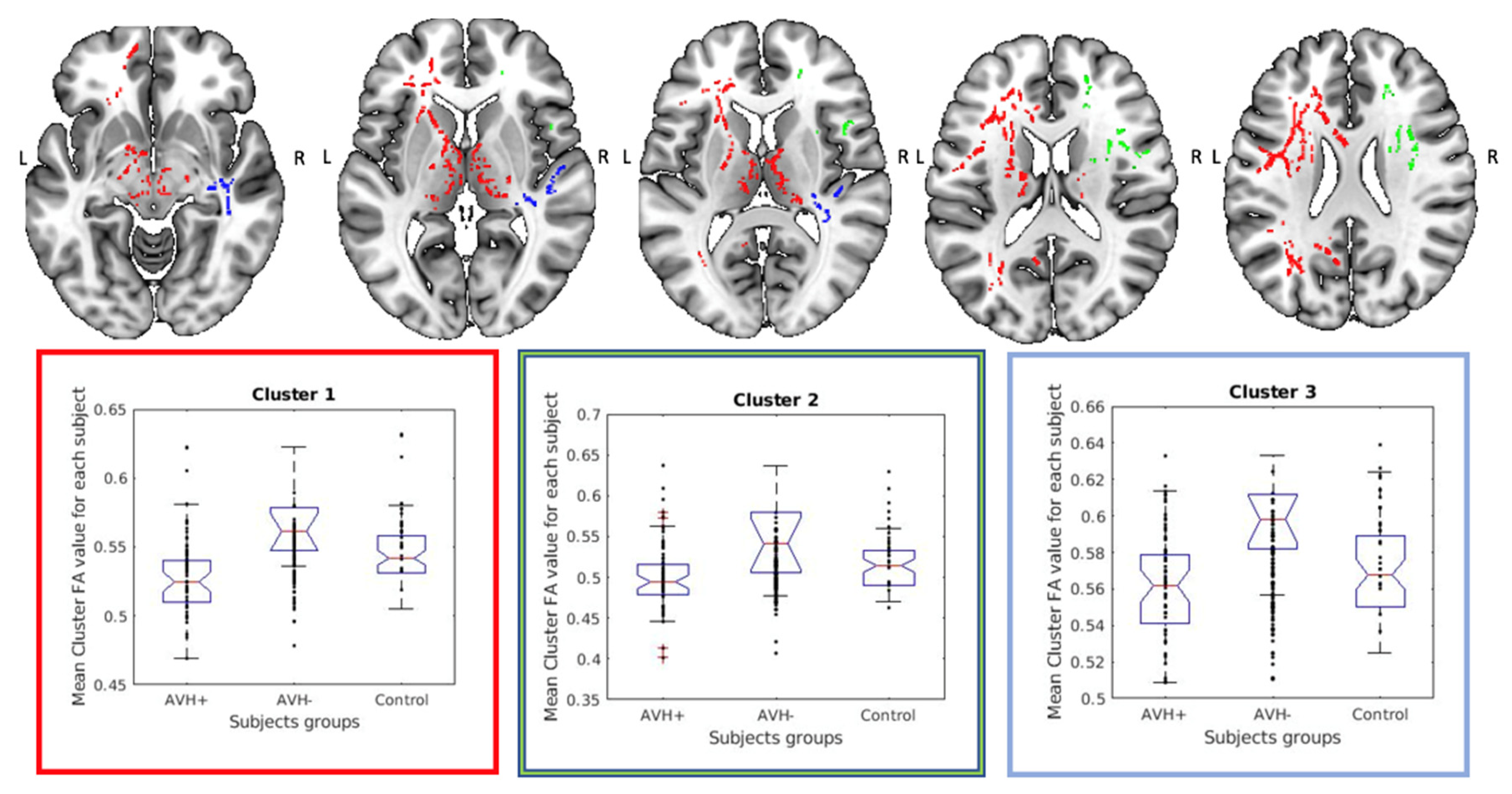 Diagnostics 11 00139 g001