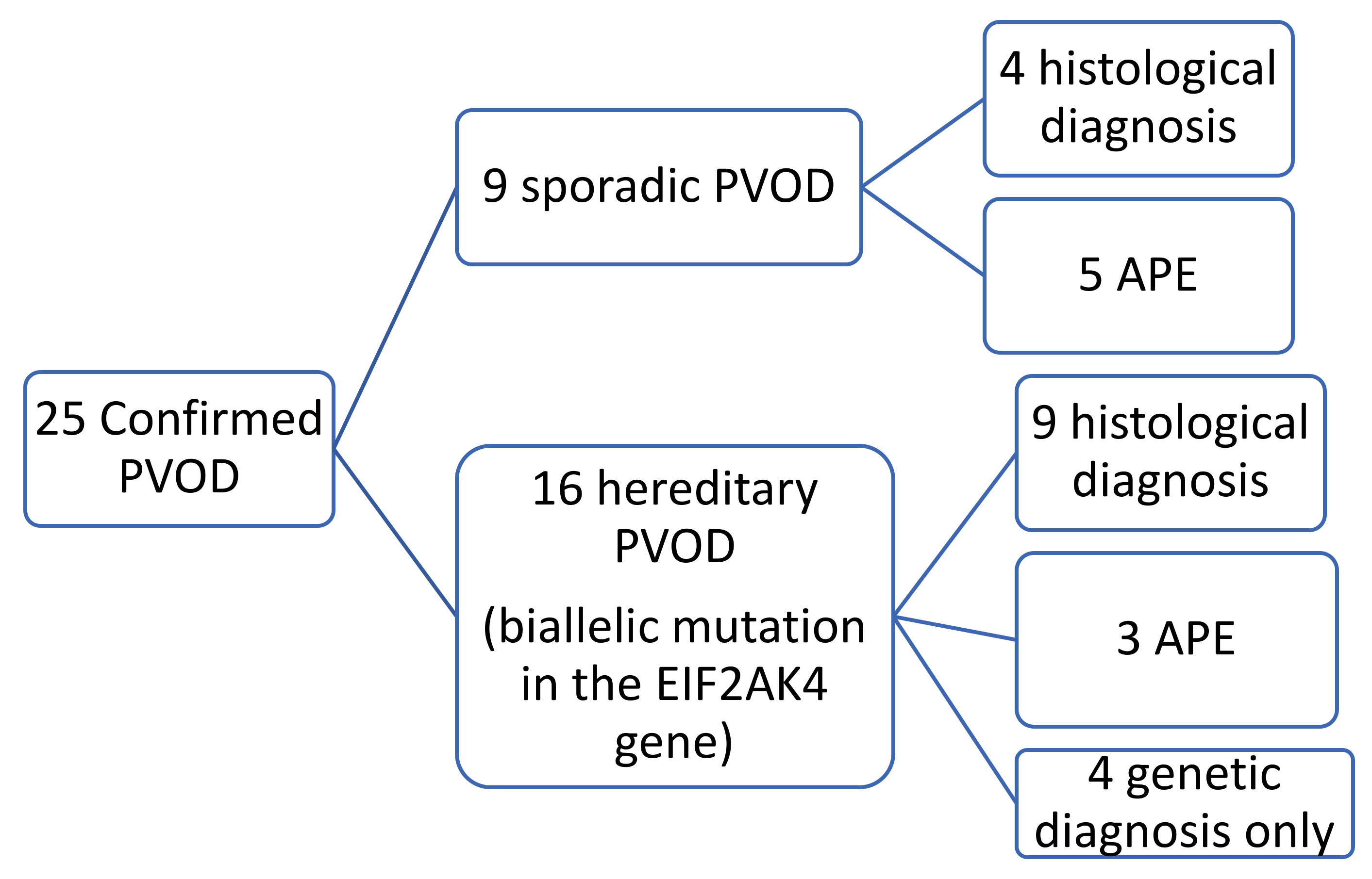 Diagnostics 11 00141 g001