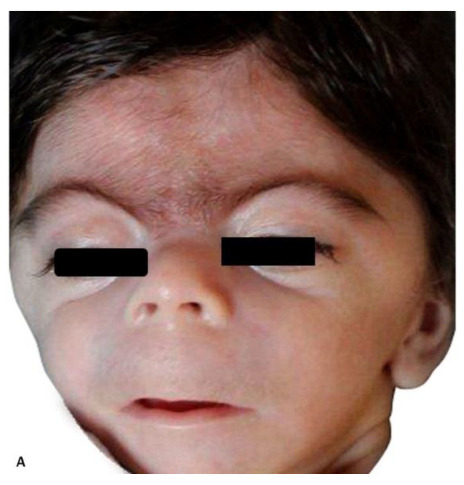 Diagnostics 11 00142 g002a Diagnostics 11 00142 g002a