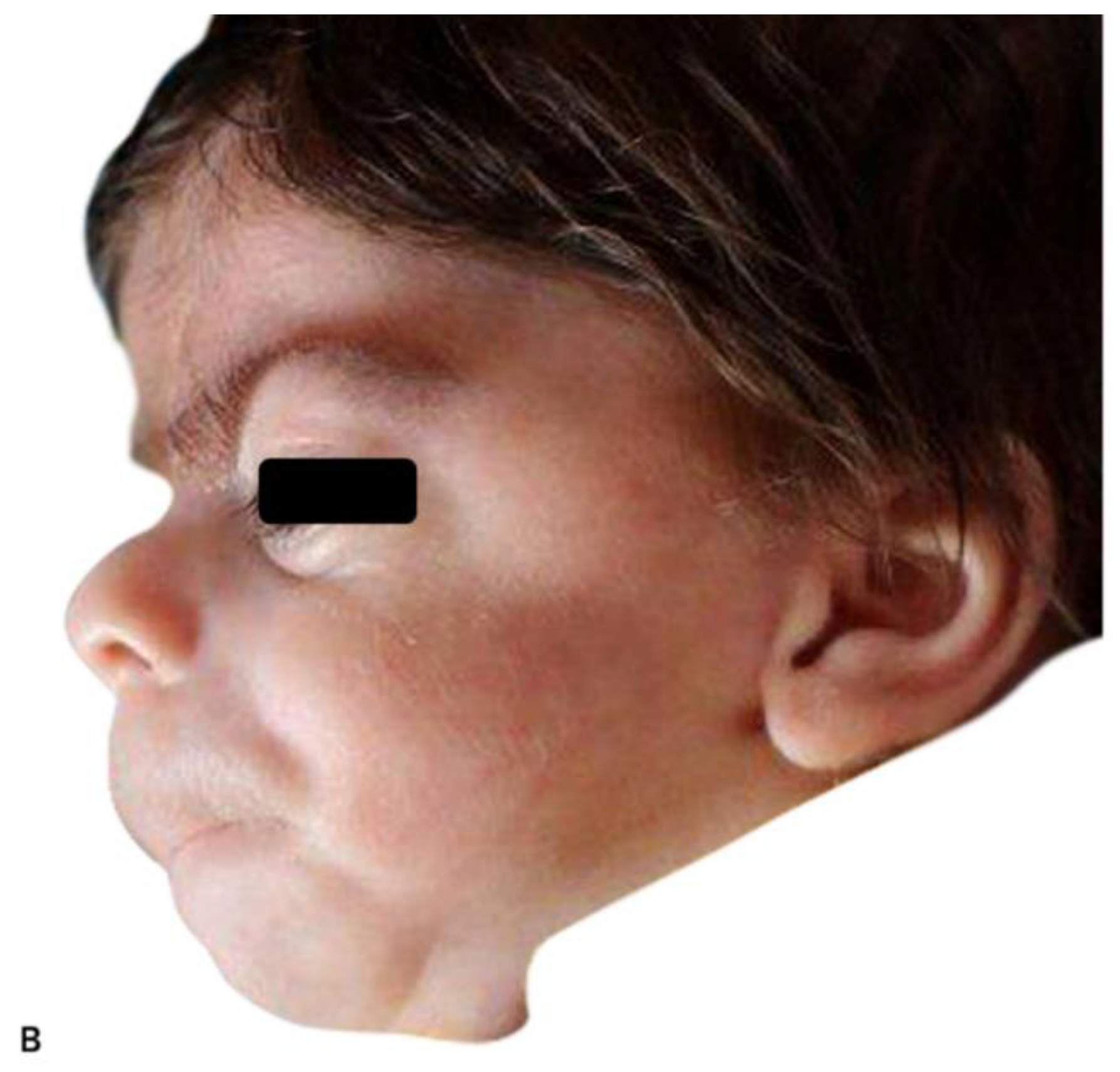 Diagnostics 11 00142 g002b Diagnostics 11 00142 g002b