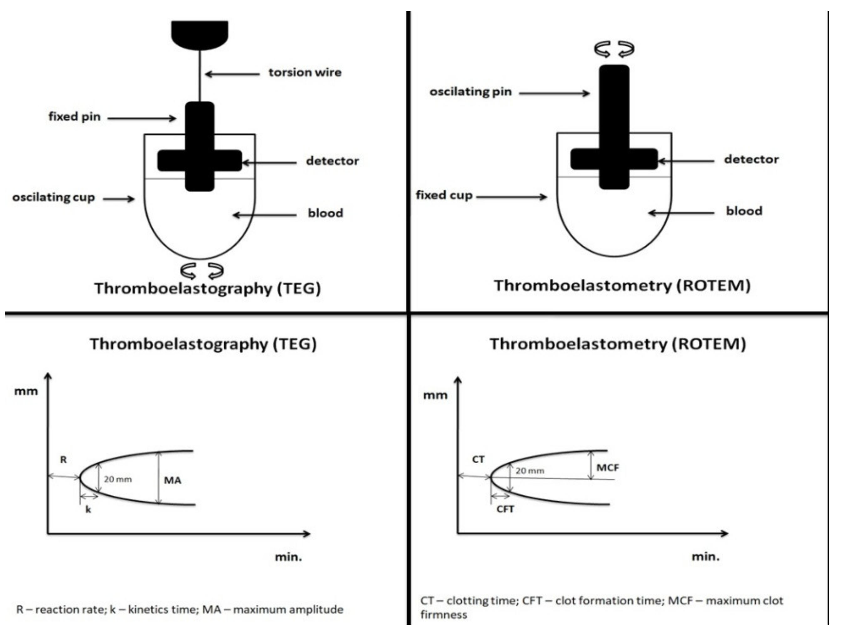 Diagnostics 11 00143 g001 Diagnostics 11 00143 g001