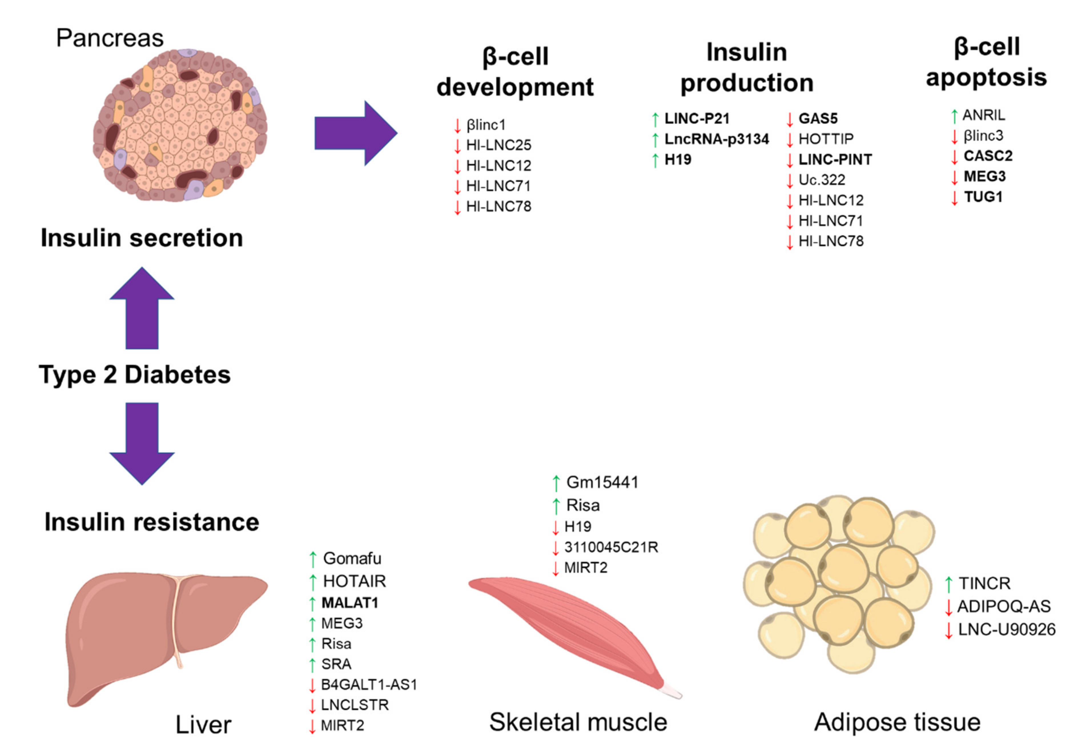 Diagnostics 11 00145 g001 Diagnostics 11 00145 g001
