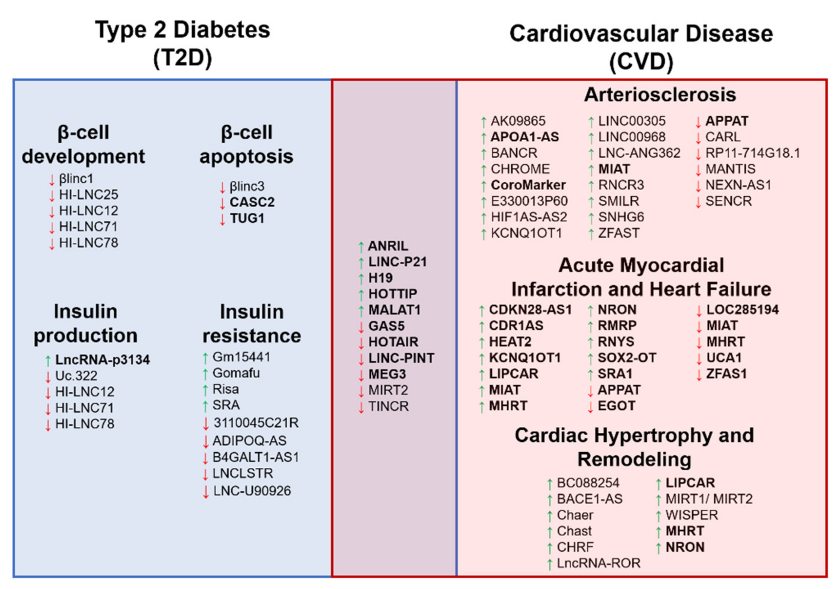 Diagnostics 11 00145 g003 Diagnostics 11 00145 g003