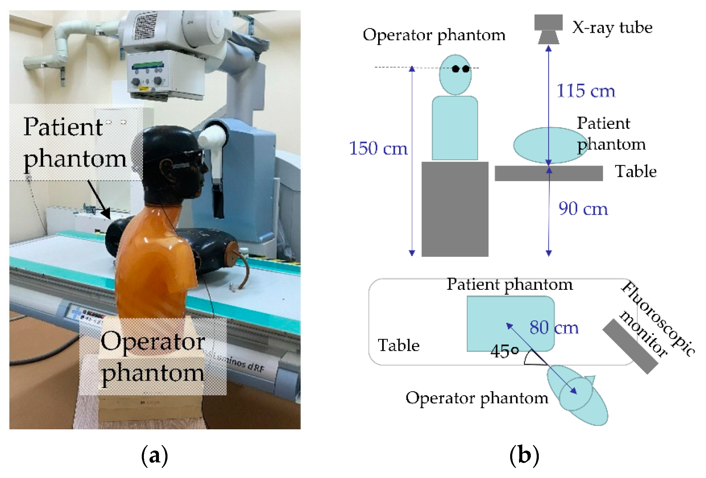 Diagnostics 11 00150 g004