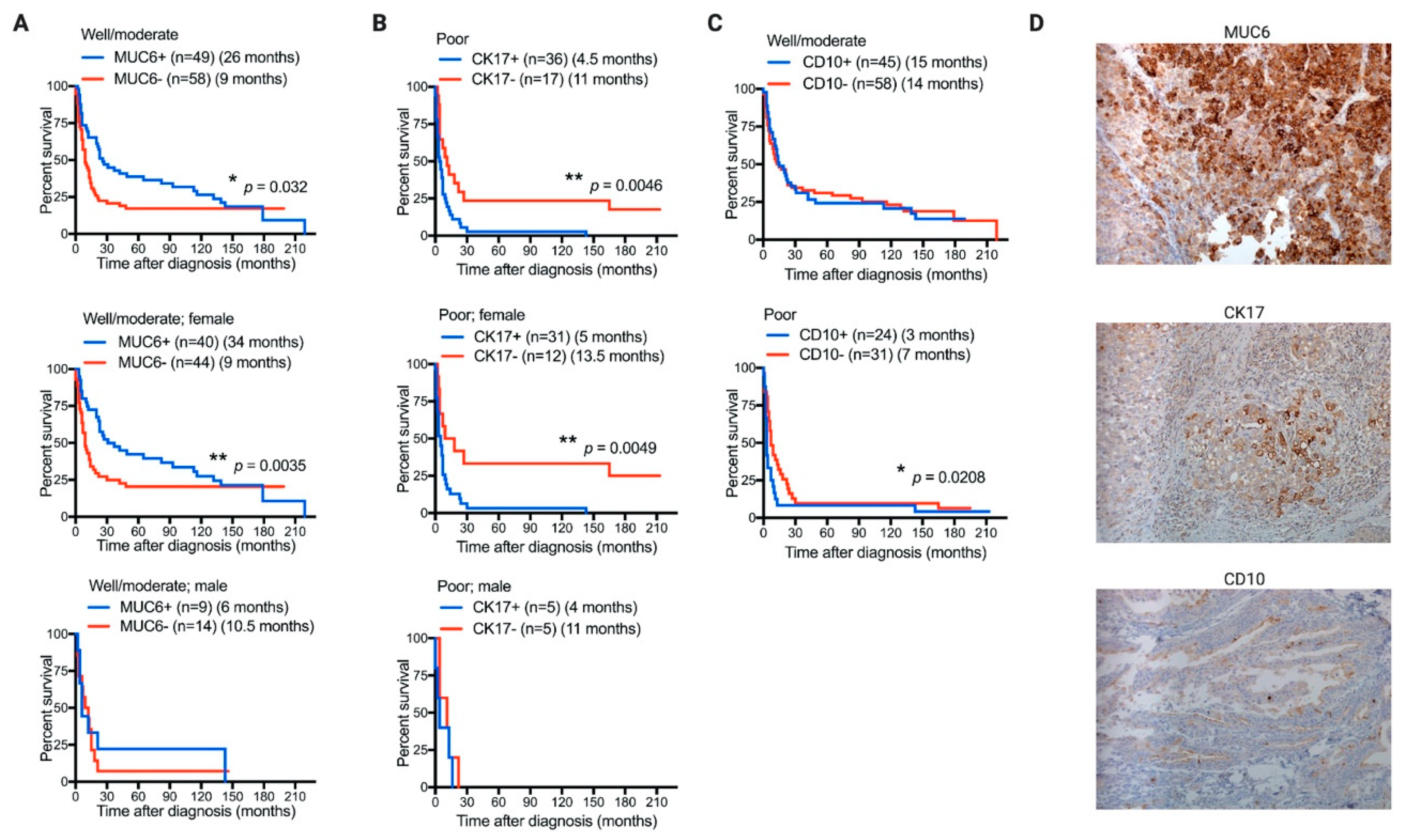 Diagnostics 11 00153 g002