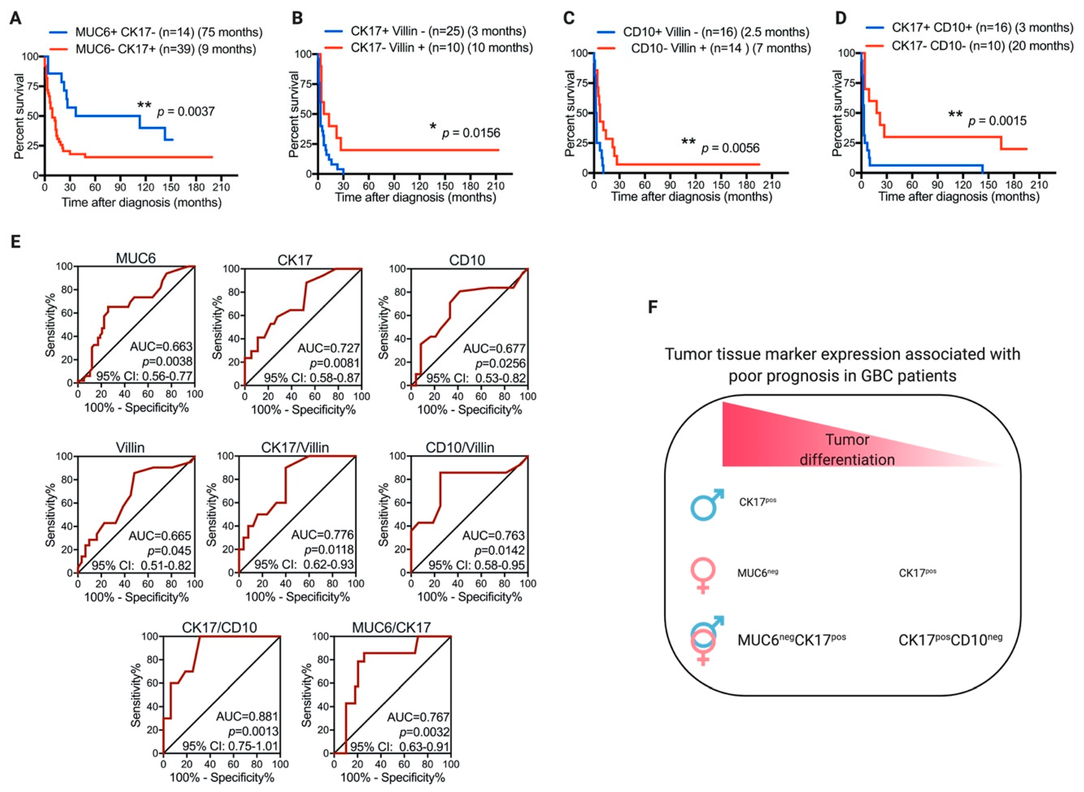 Diagnostics 11 00153 g003